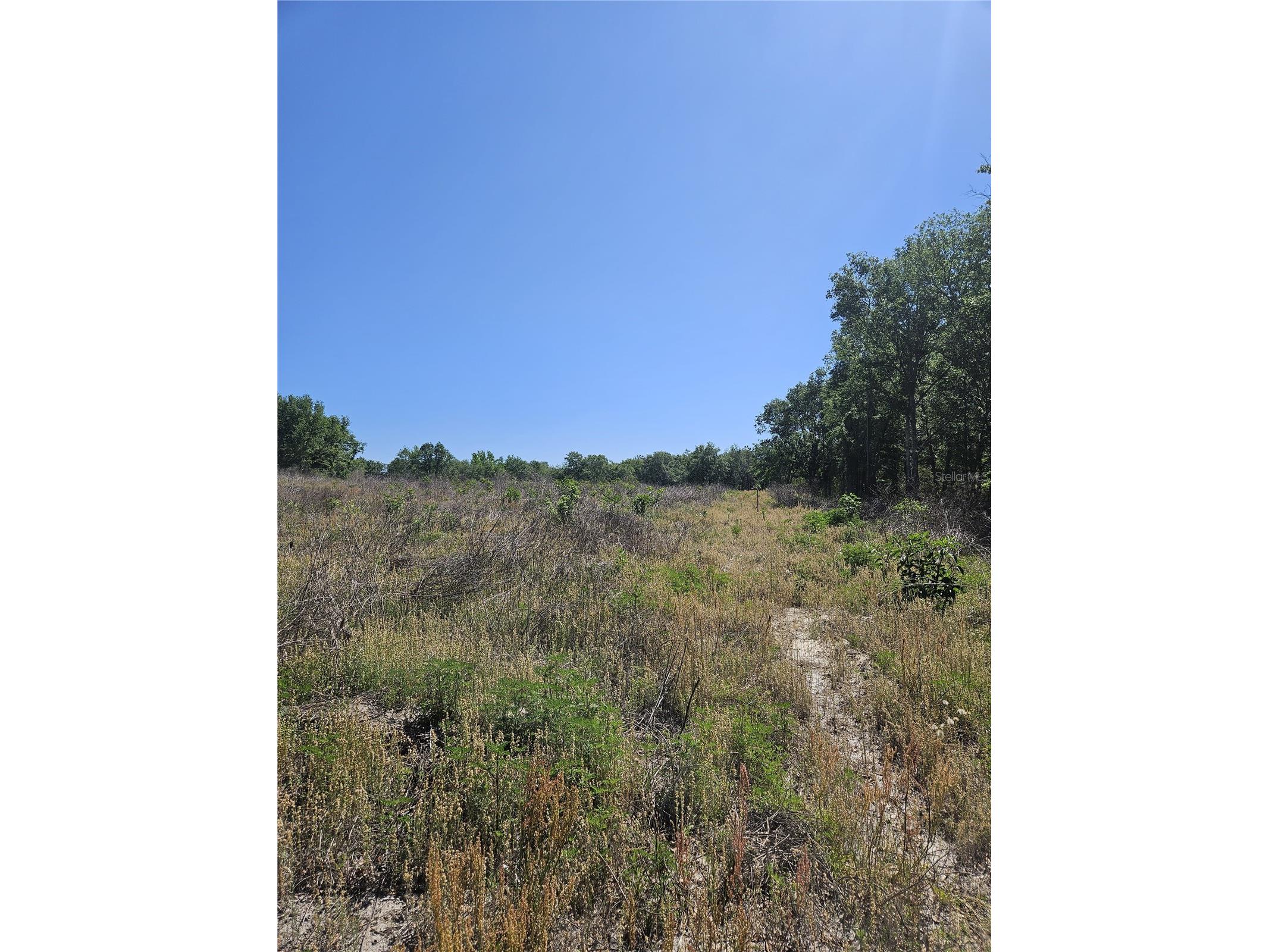 000 SW Mixson Road Lake City FL 32024 TB8499733 image21