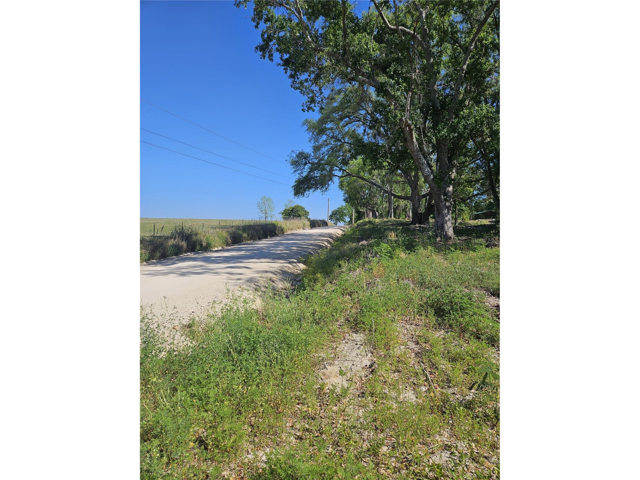 000 SW Mixson Road Lake City FL 32024 TB8499733 image22