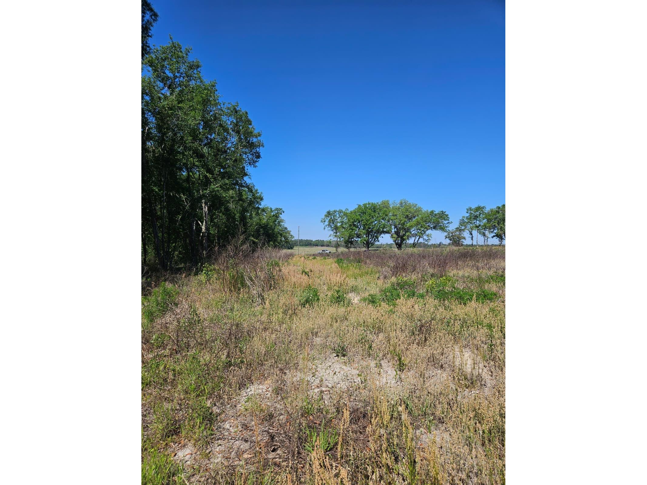 000 SW Mixson Road Lake City FL 32024 TB8499733 image24