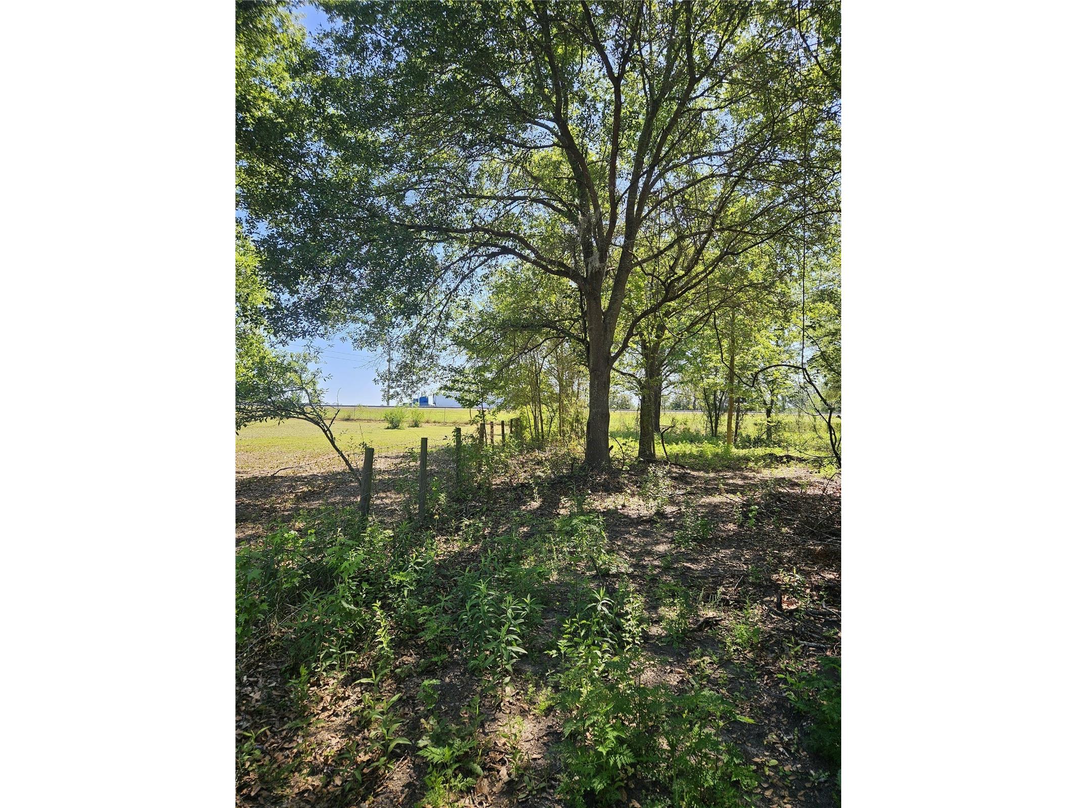 000 SW Mixson Road Lake City FL 32024 TB8499733 image25
