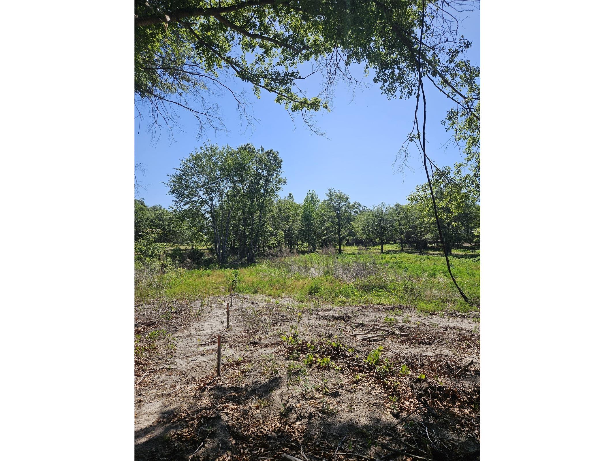 000 SW Mixson Road Lake City FL 32024 TB8499733 image26