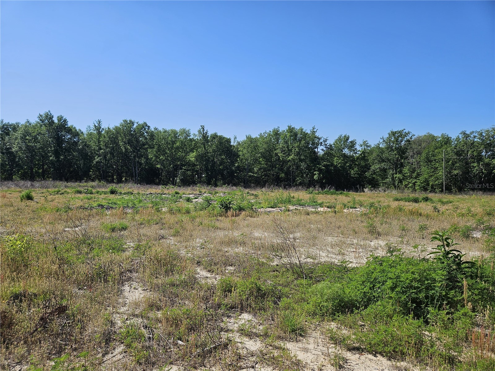 000 SW Mixson Road Lake City FL 32024 TB8499733 image28