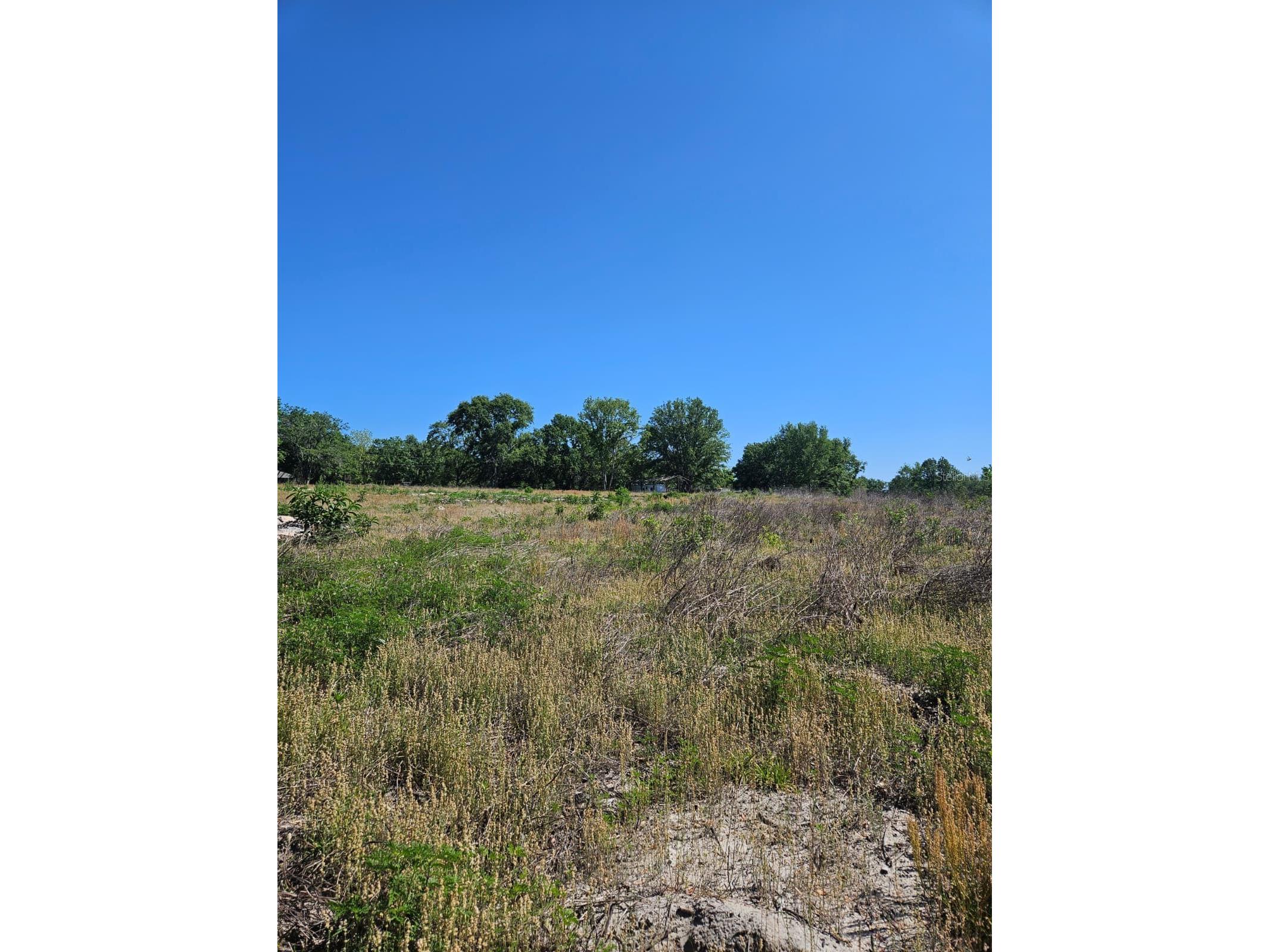 000 SW Mixson Road Lake City FL 32024 TB8499733 image29