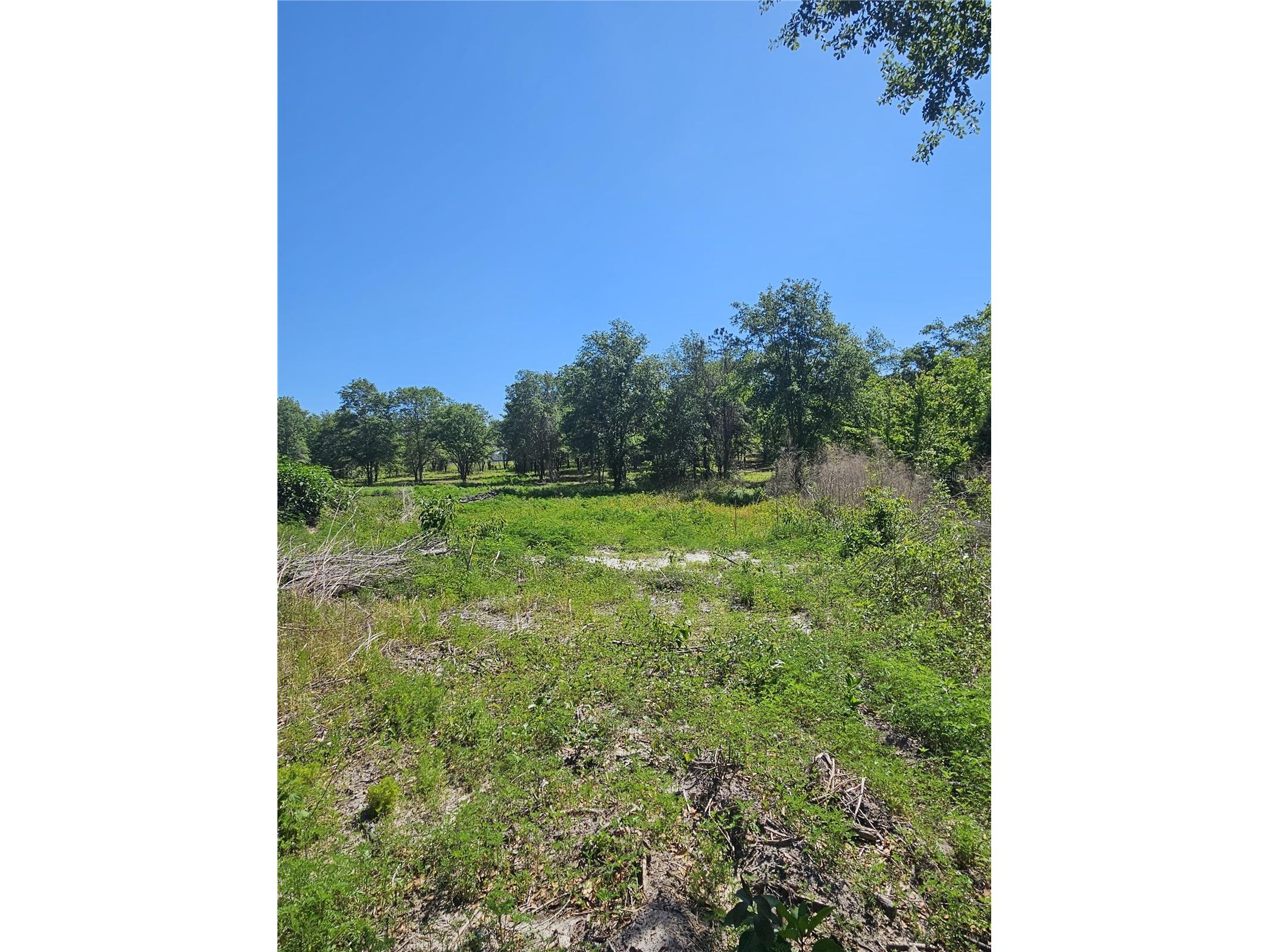000 SW Mixson Road Lake City FL 32024 TB8499733 image31