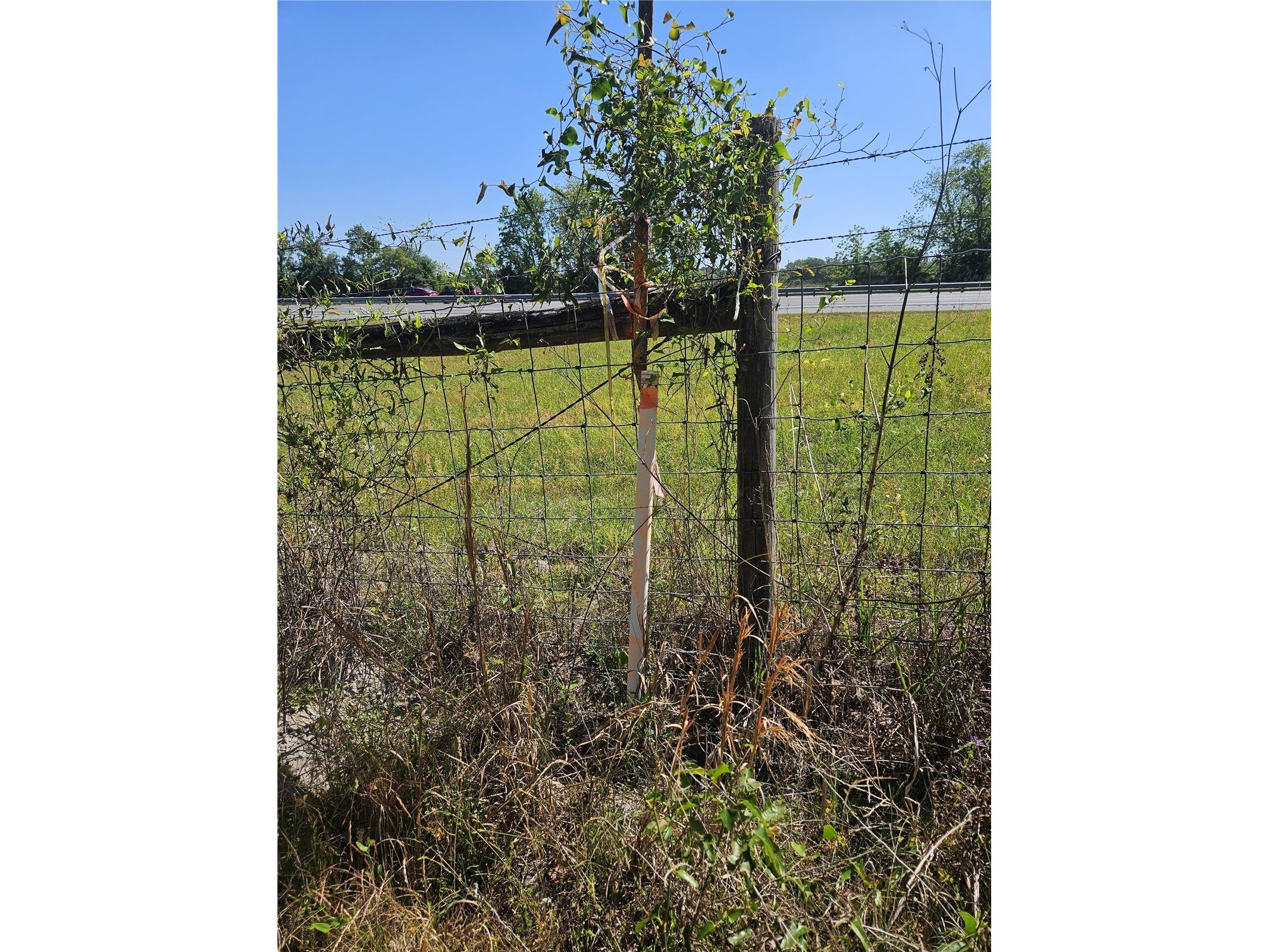 000 SW Mixson Road Lake City FL 32024 TB8499733 image32