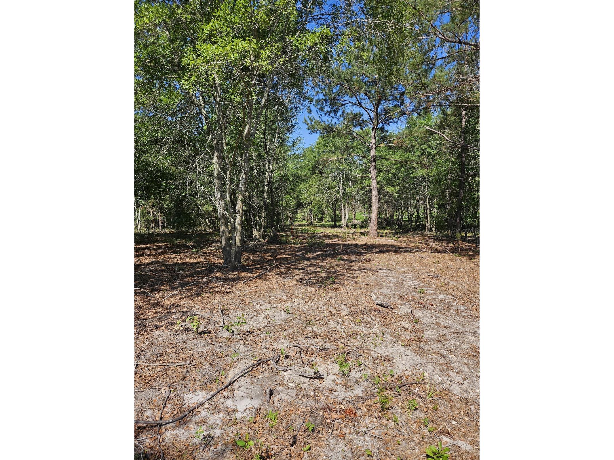 000 SW Mixson Road Lake City FL 32024 TB8499733 image33