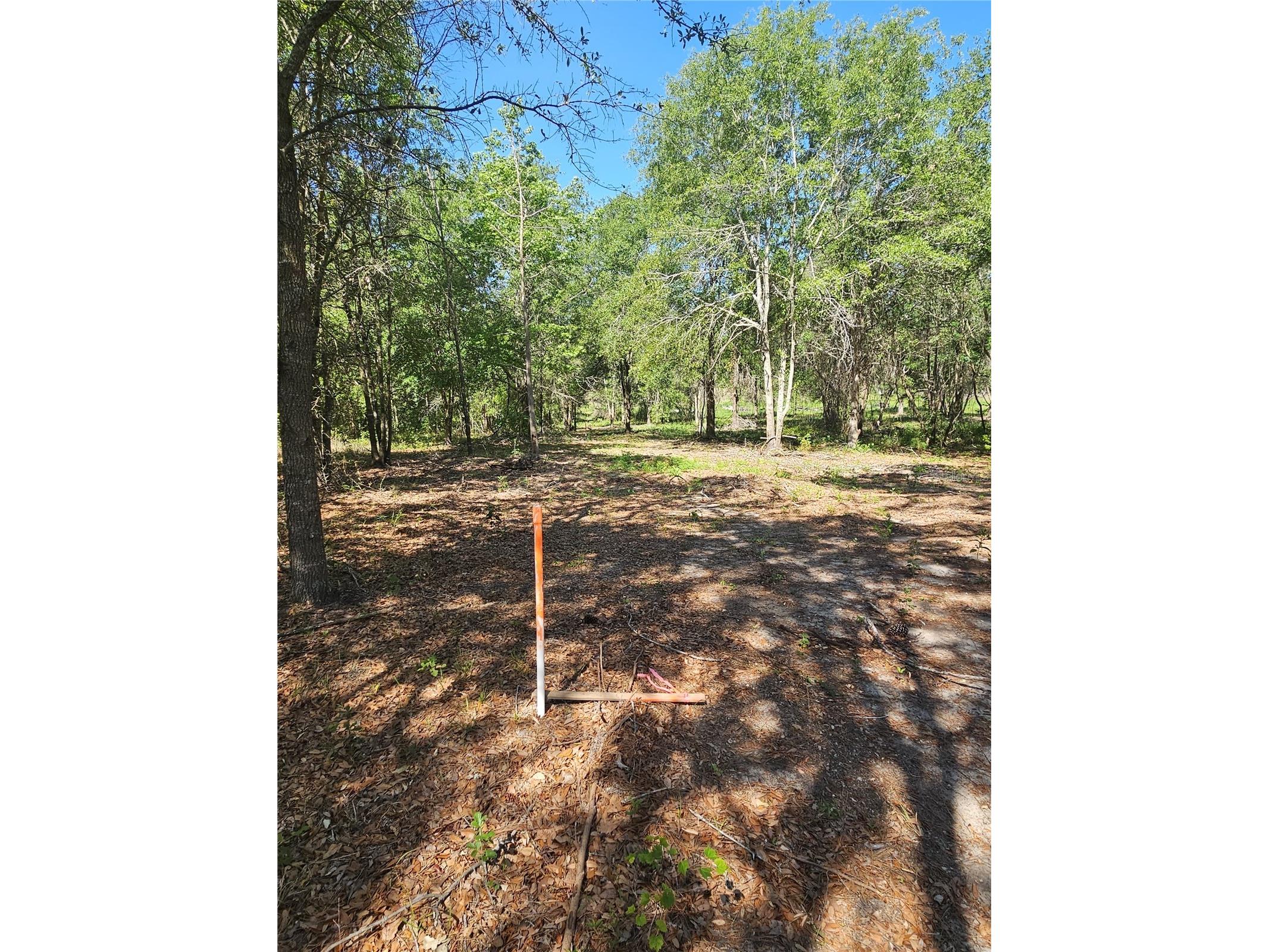 000 SW Mixson Road Lake City FL 32024 TB8499733 image34