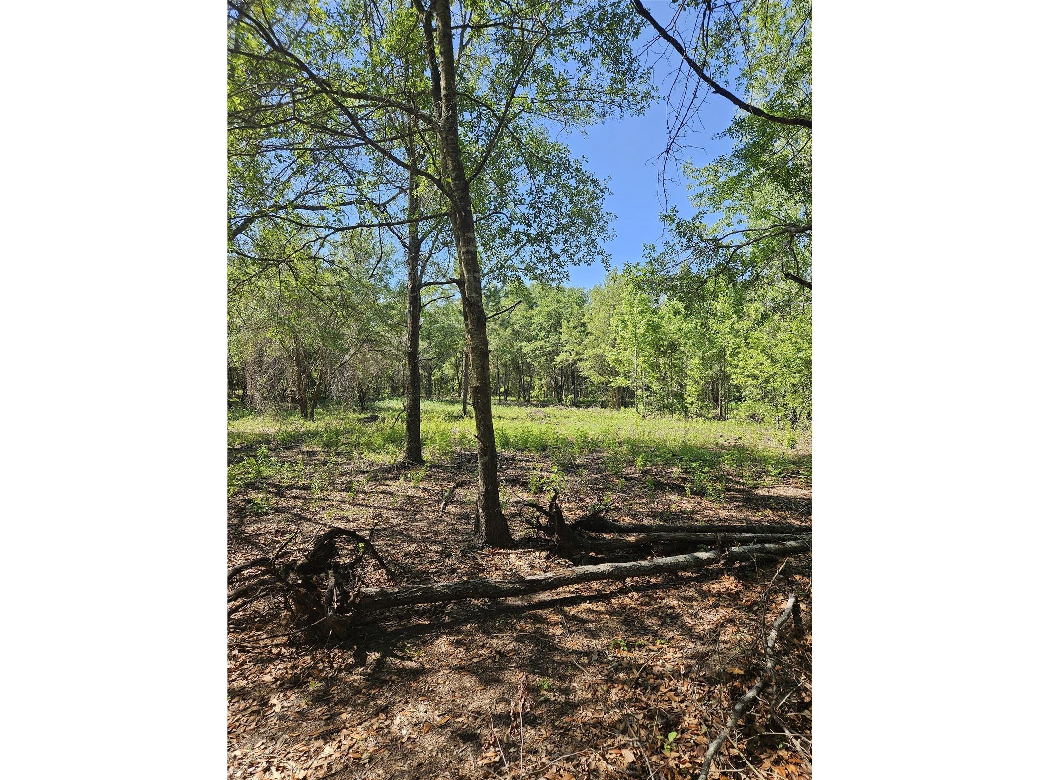 000 SW Mixson Road Lake City FL 32024 TB8499733 image35