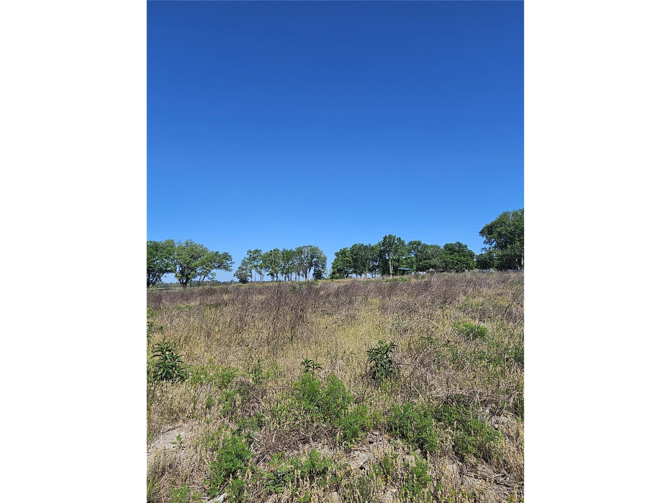 000 SW Mixson Road Lake City FL 32024 TB8499733 image4