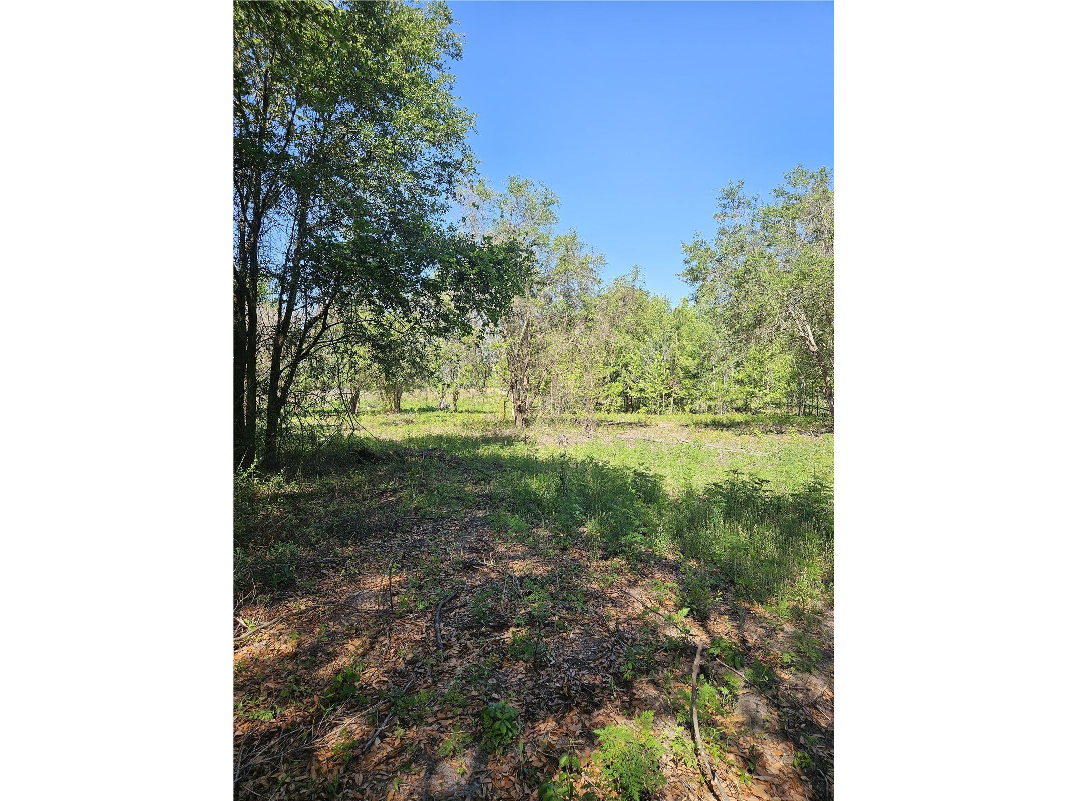 000 SW Mixson Road Lake City FL 32024 TB8499733 image6