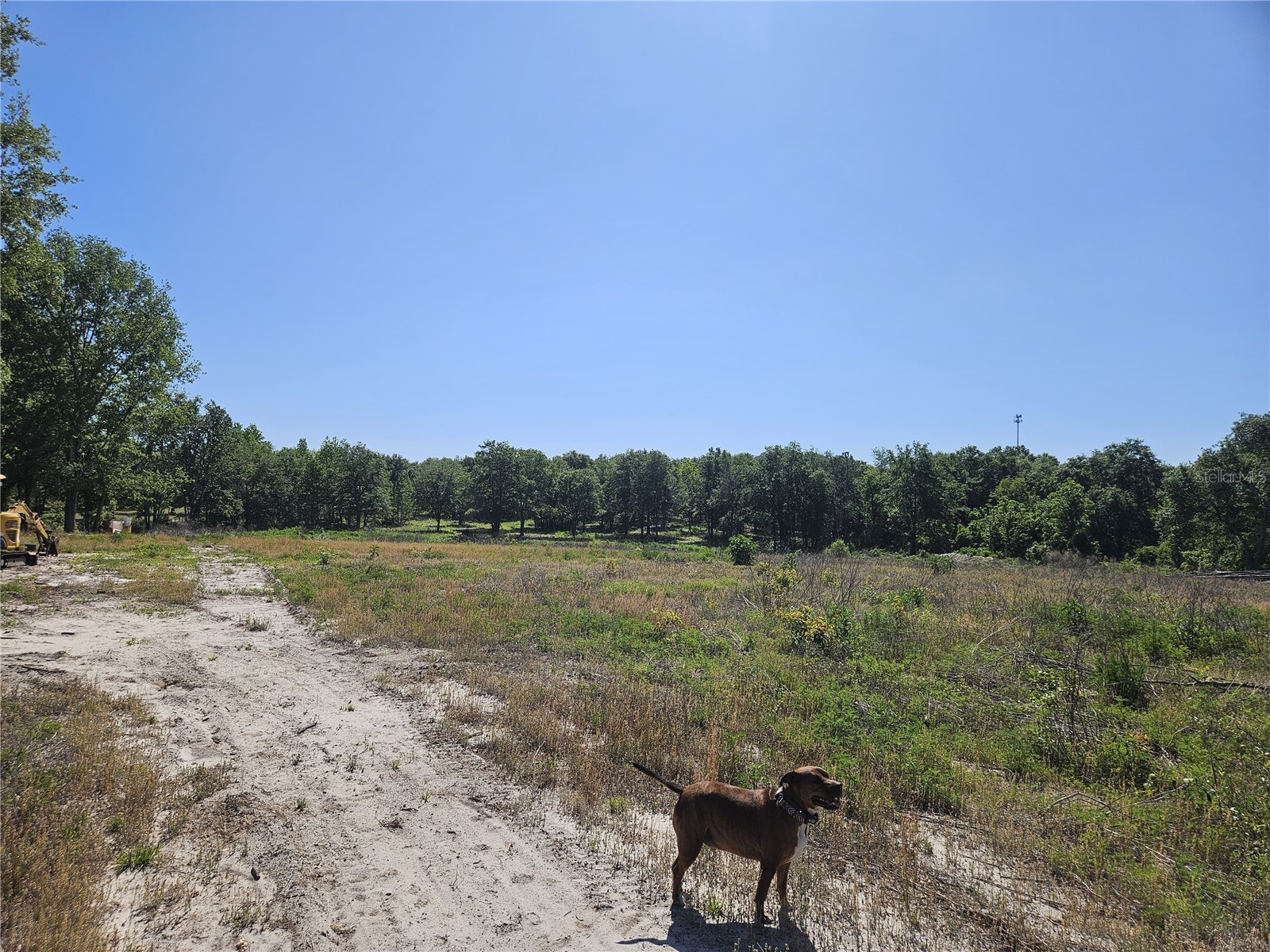 000 SW Mixson Road Lake City FL 32024 TB8499733 image7