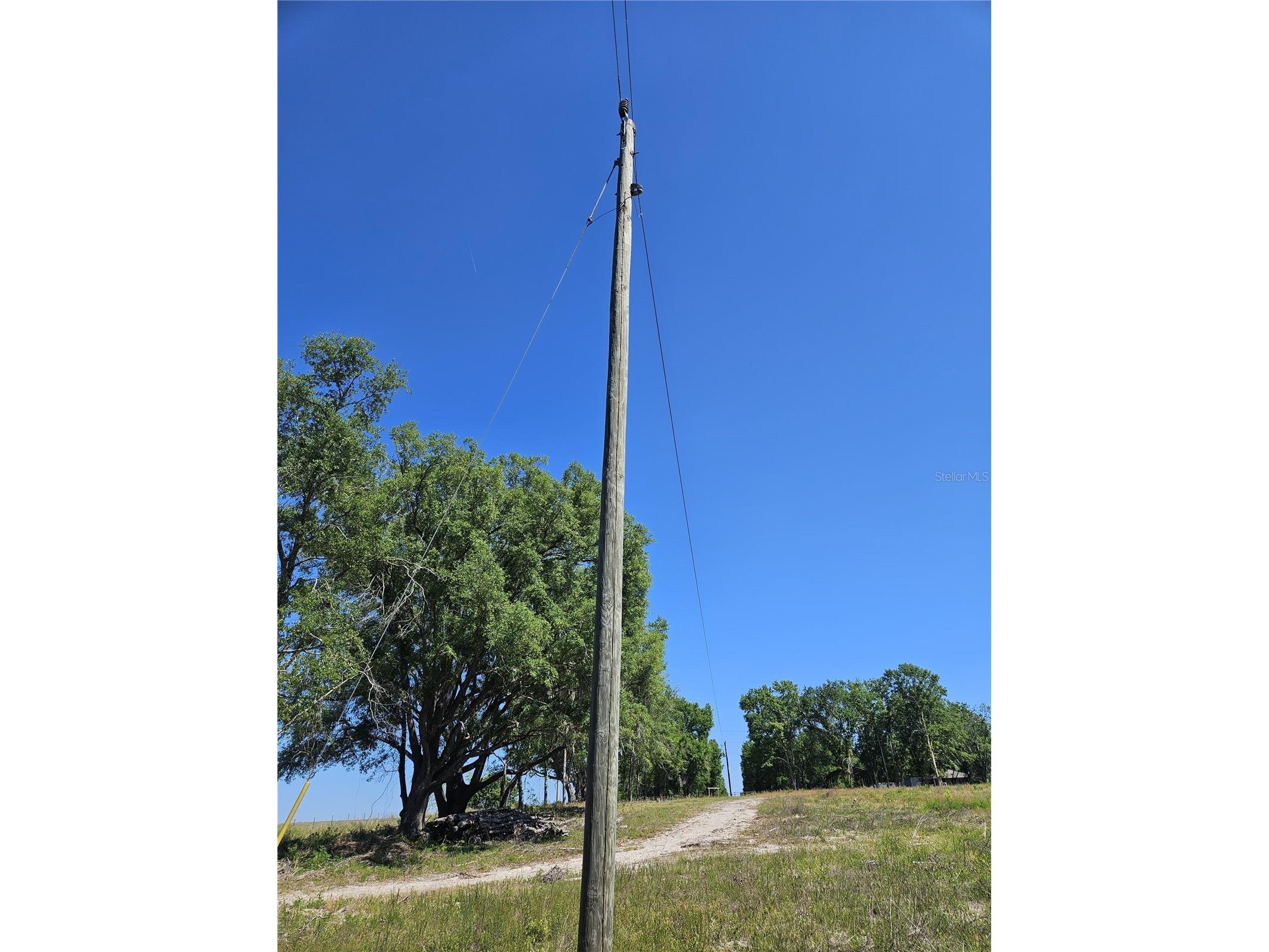 000 SW Mixson Road Lake City FL 32024 TB8499733 image9