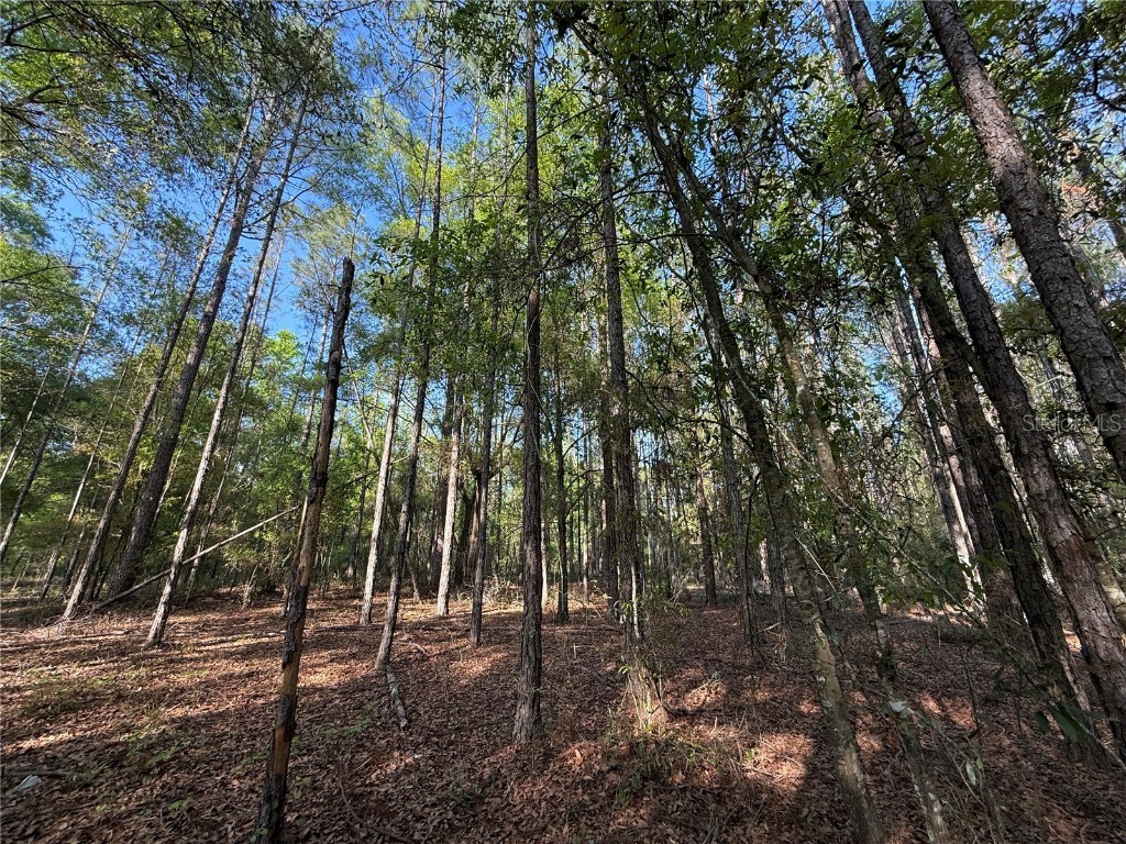 000 SW Old Lake City Terrace High Springs FL 32643 GC529946 image1