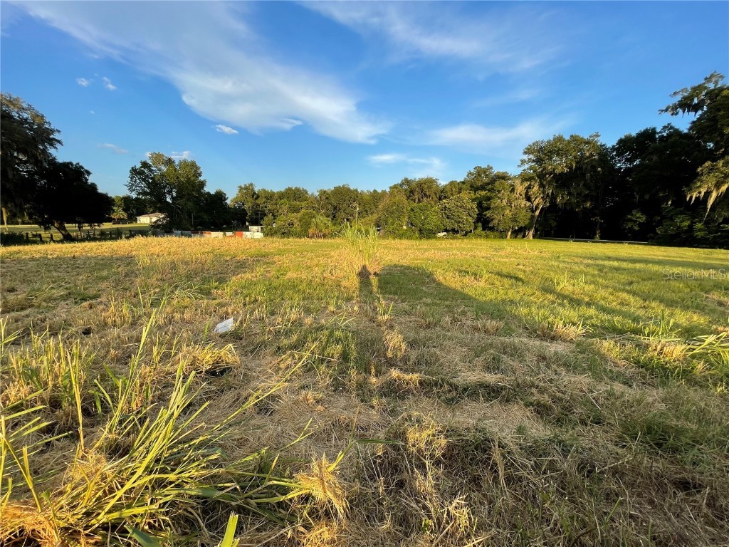 000 Us Hwy 301 & Cr 110 Oxford FL 34484 G5073737 image22