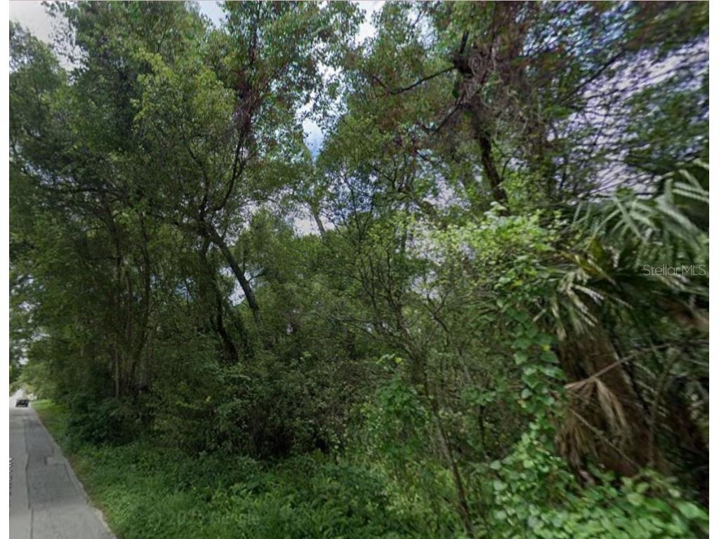 000 W Euclid Avenue Deland FL 32720 O6367741 image10