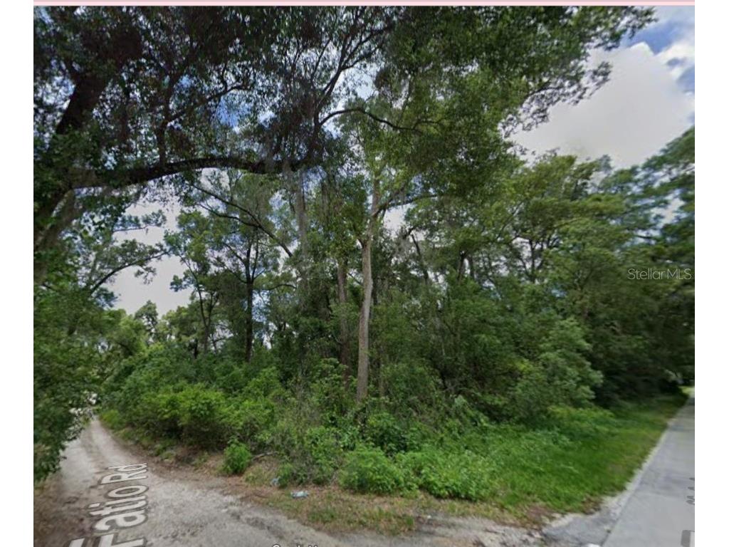 000 W Euclid Avenue Deland FL 32720 O6367741 image3