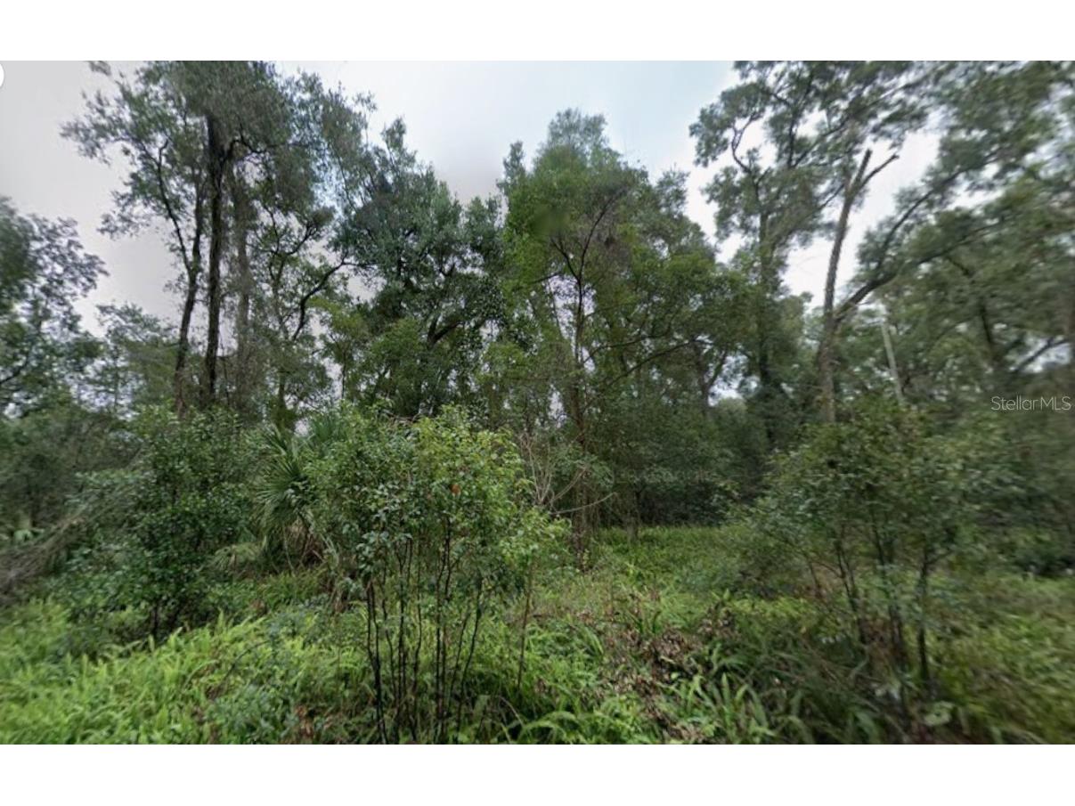 000 W Euclid Avenue Deland FL 32720 O6367741 image4