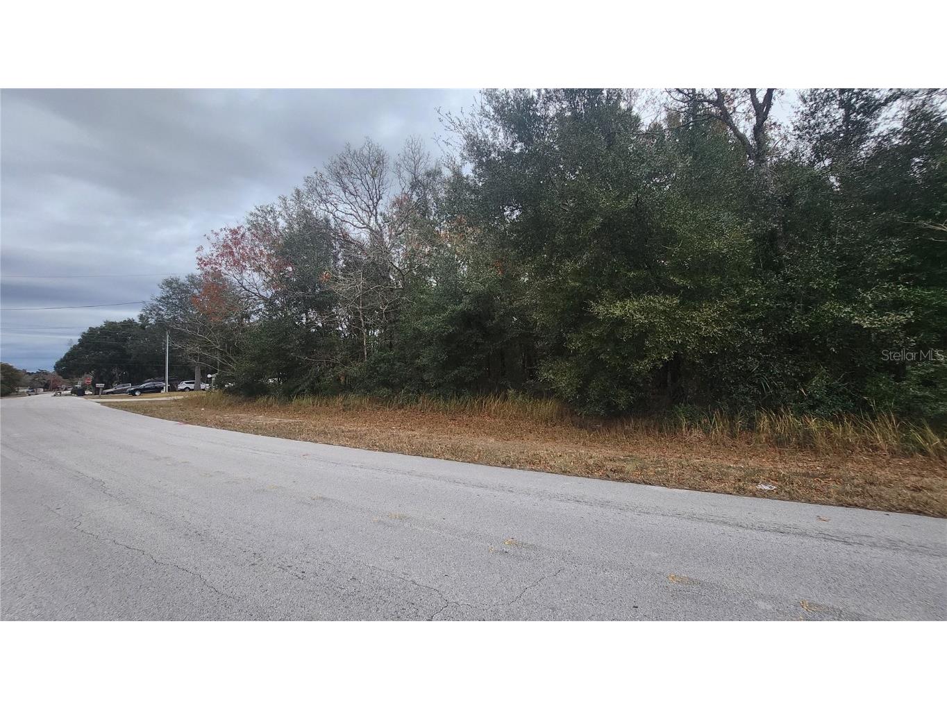 000 Water Road Ocala FL 34472 OM698135 image1