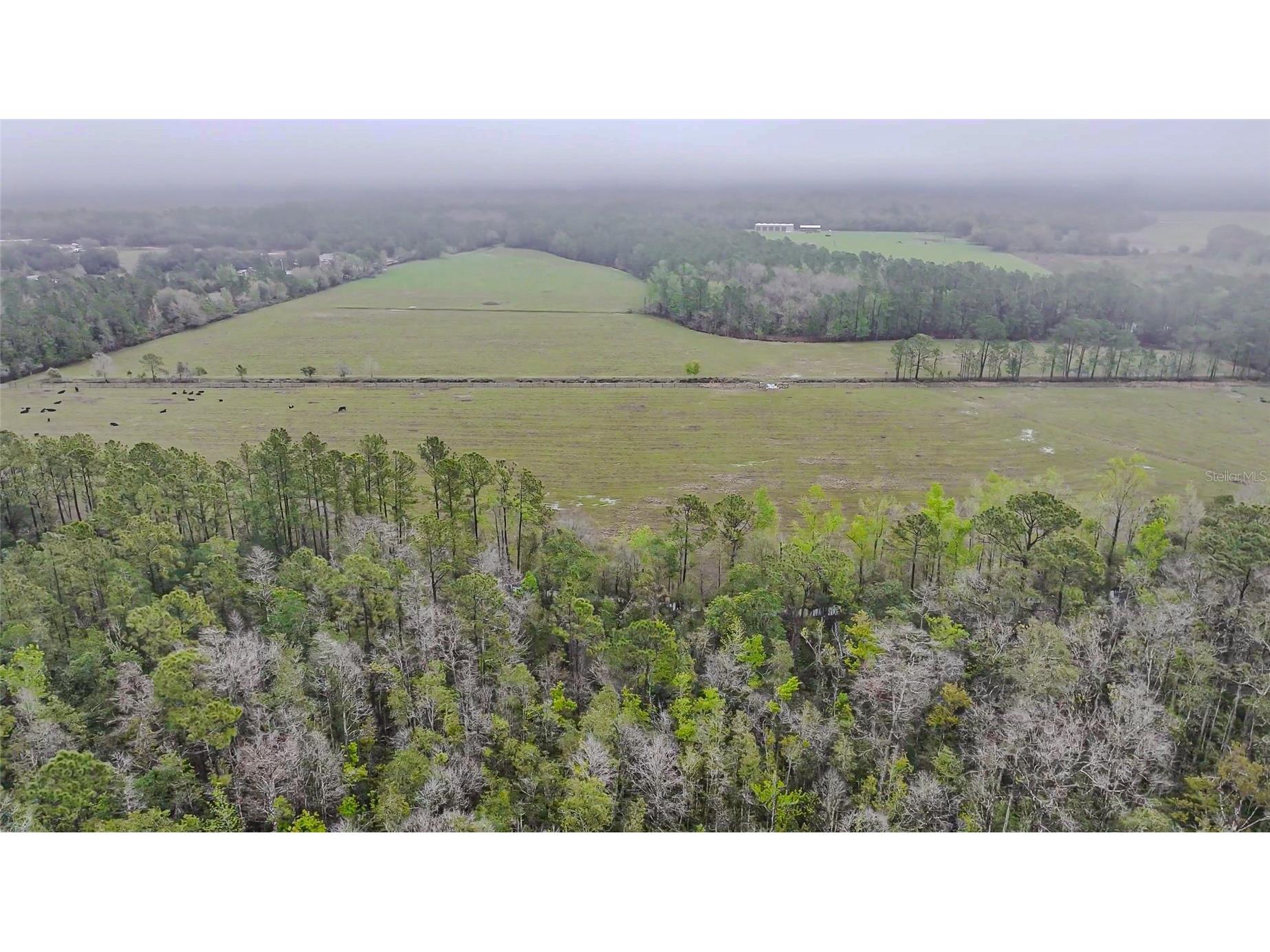 0000 Alligator Road Clermont FL 34714 L4951025 image11