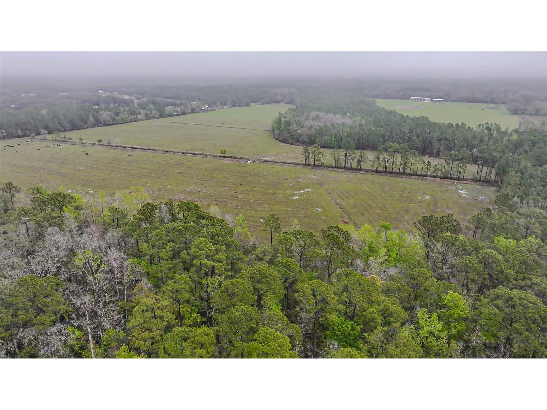 0000 Alligator Road Clermont FL 34714 L4951025 image12