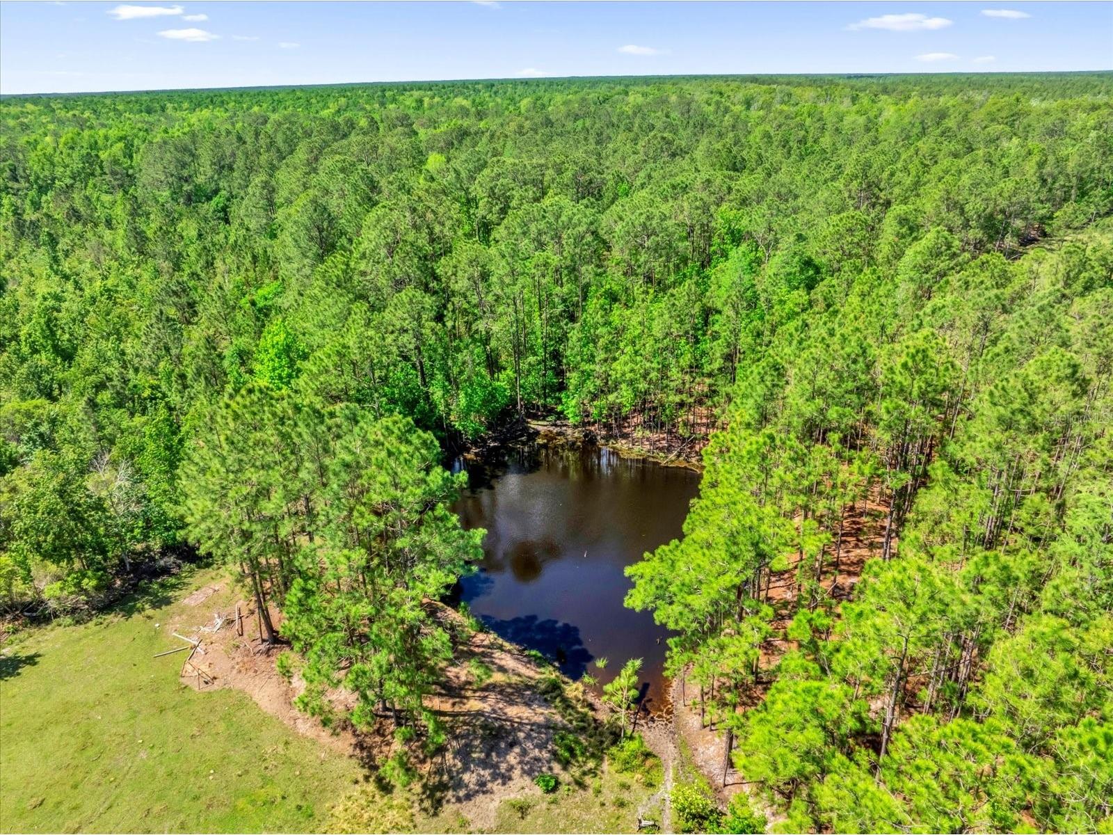 0000 Alligator Road Clermont FL 34714 L4951025 image20