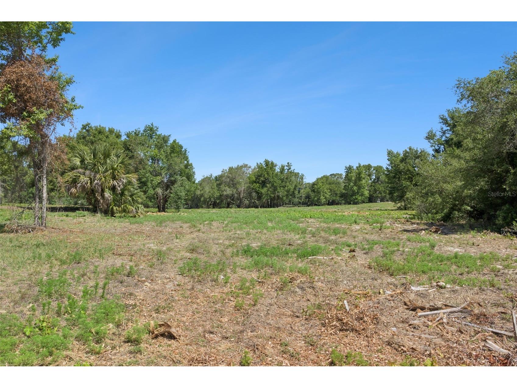 0000 Bertsville & Griffin View Road Lady Lake FL 32159 G5109689 image10
