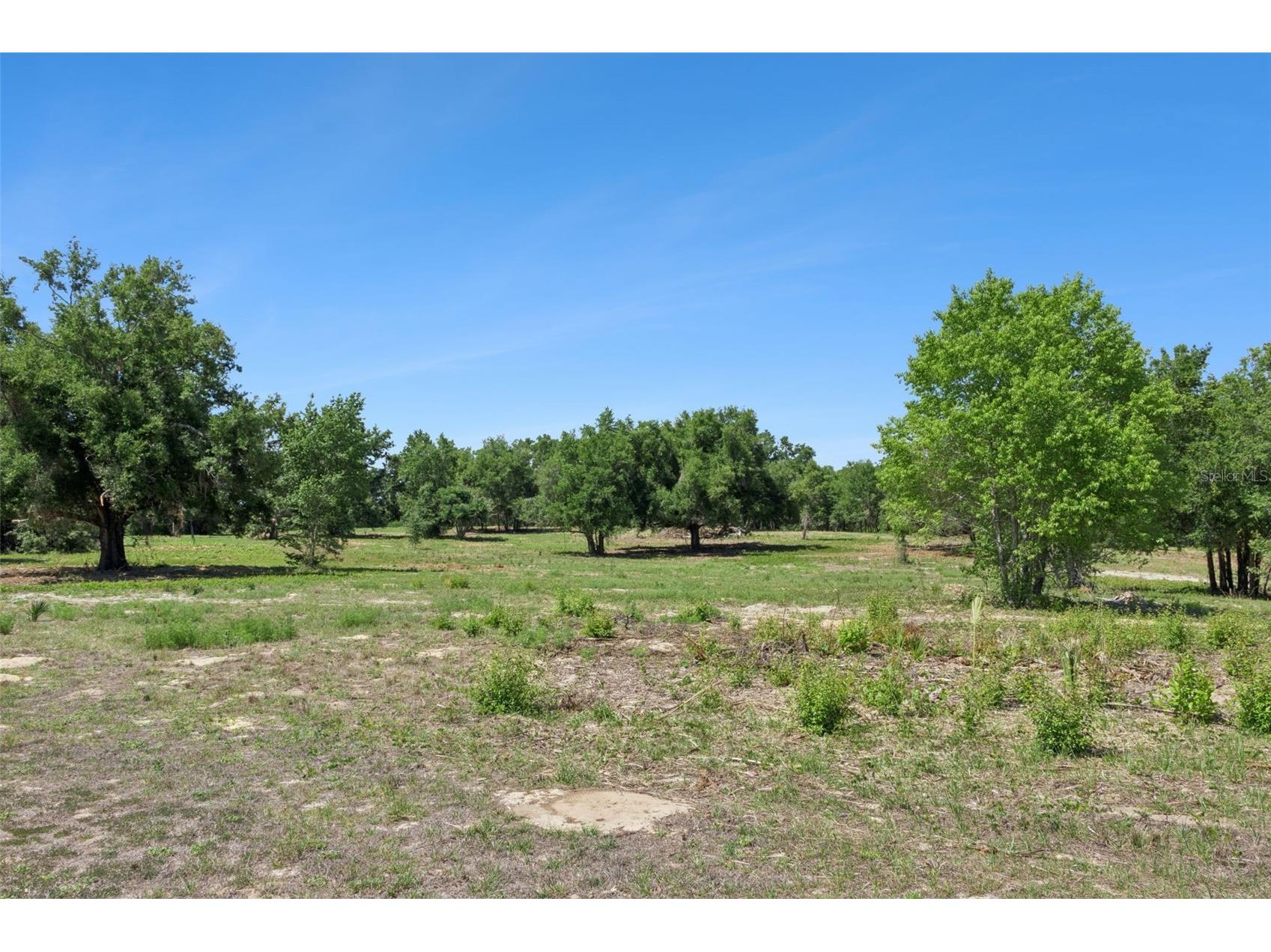 0000 Bertsville & Griffin View Road Lady Lake FL 32159 G5109689 image11