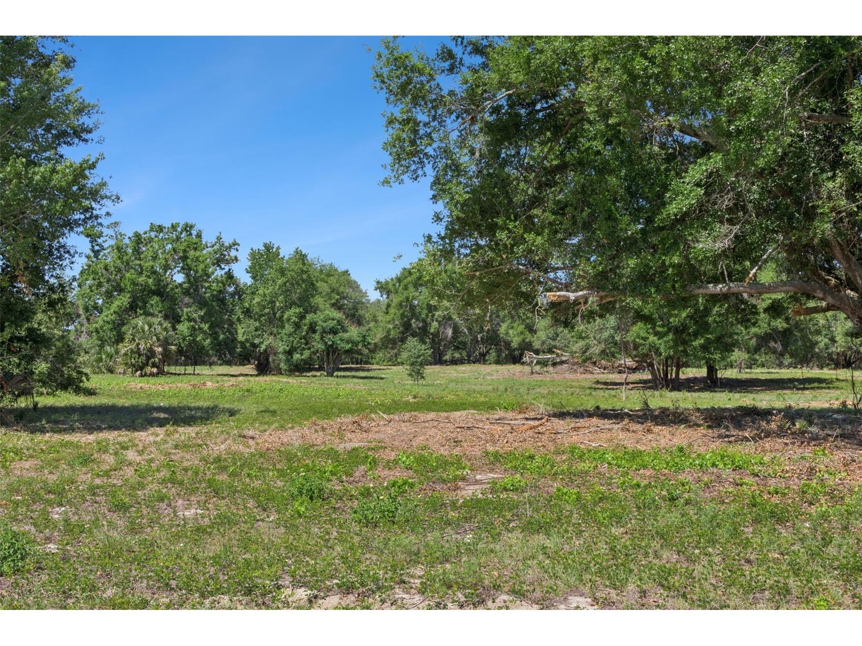 0000 Bertsville & Griffin View Road Lady Lake FL 32159 G5109689 image12