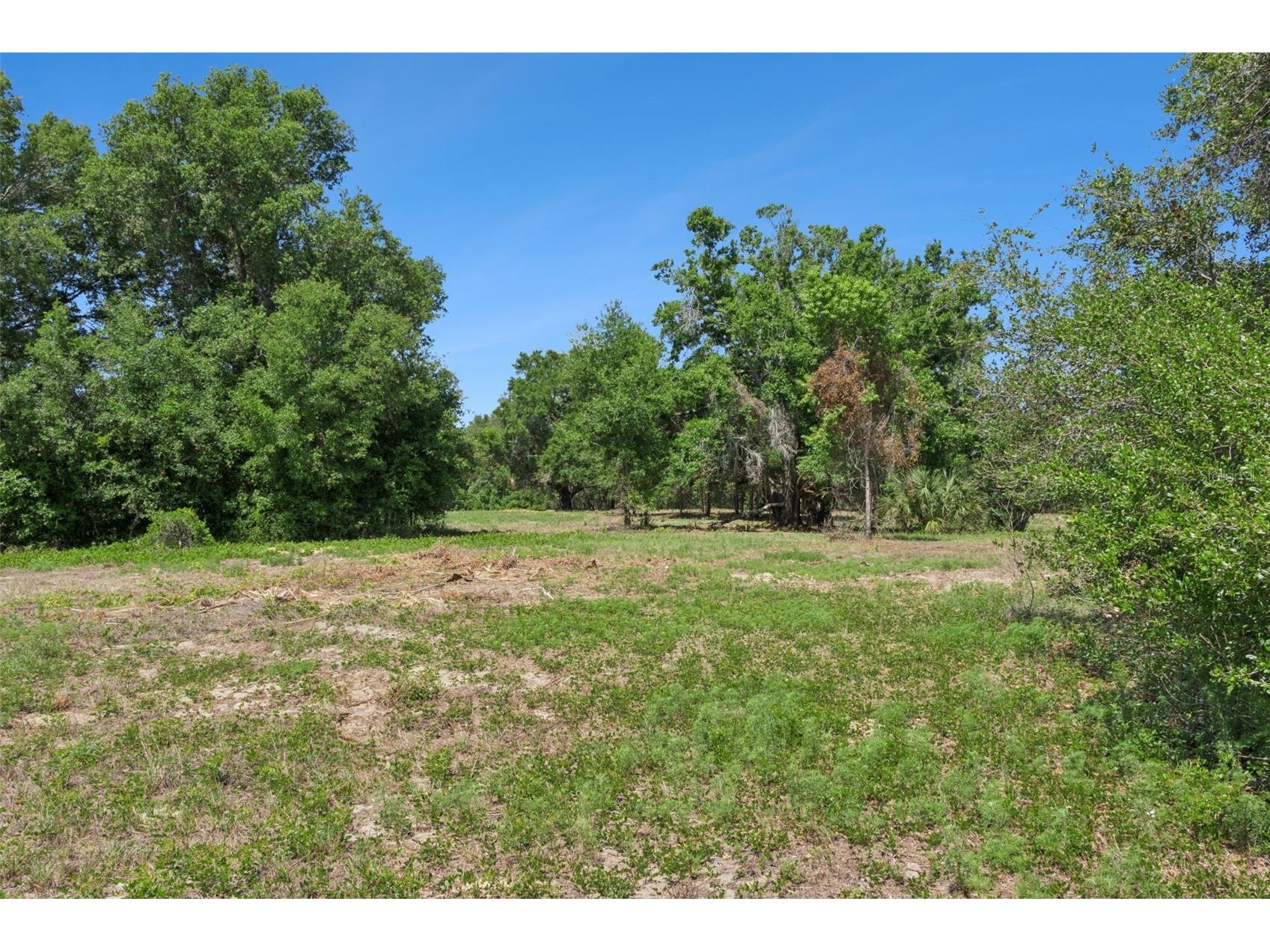 0000 Bertsville & Griffin View Road Lady Lake FL 32159 G5109689 image13