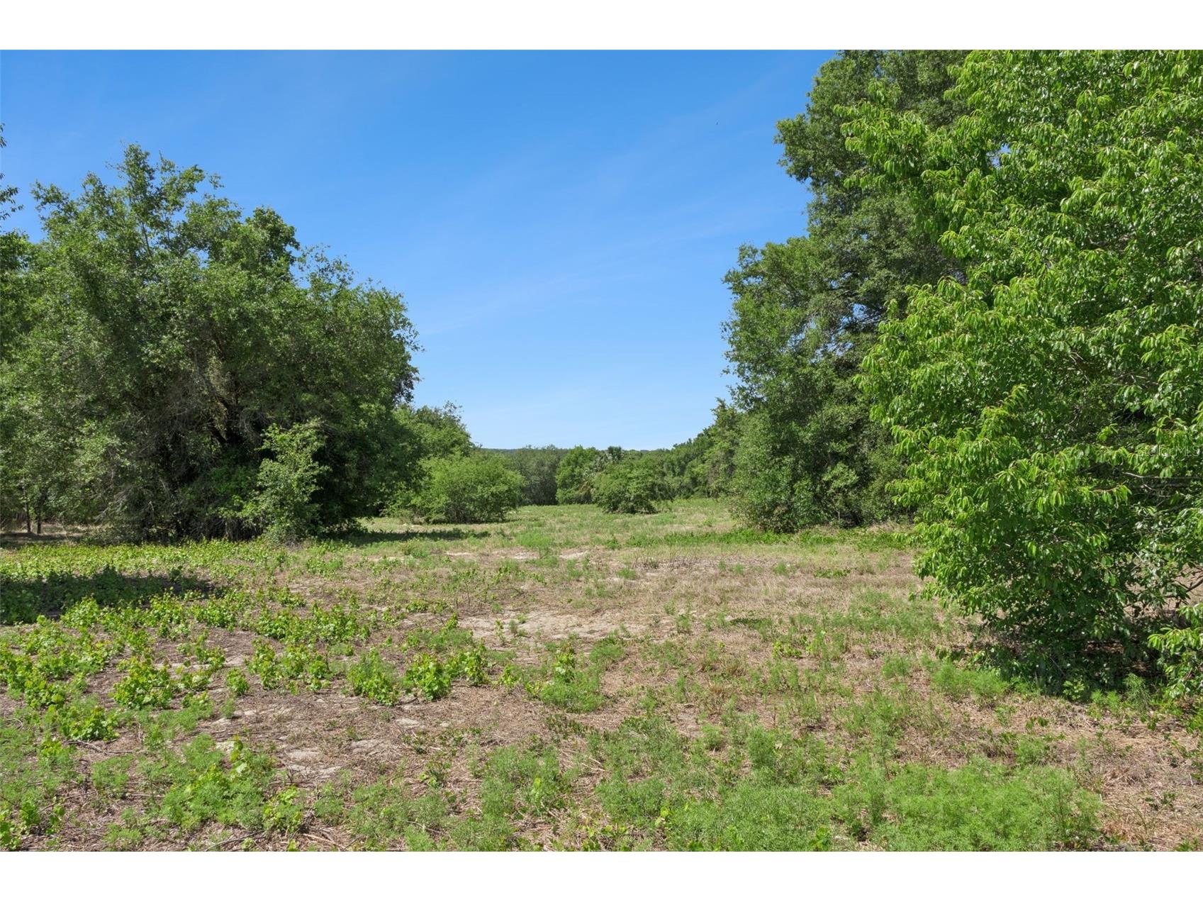 0000 Bertsville & Griffin View Road Lady Lake FL 32159 G5109689 image14