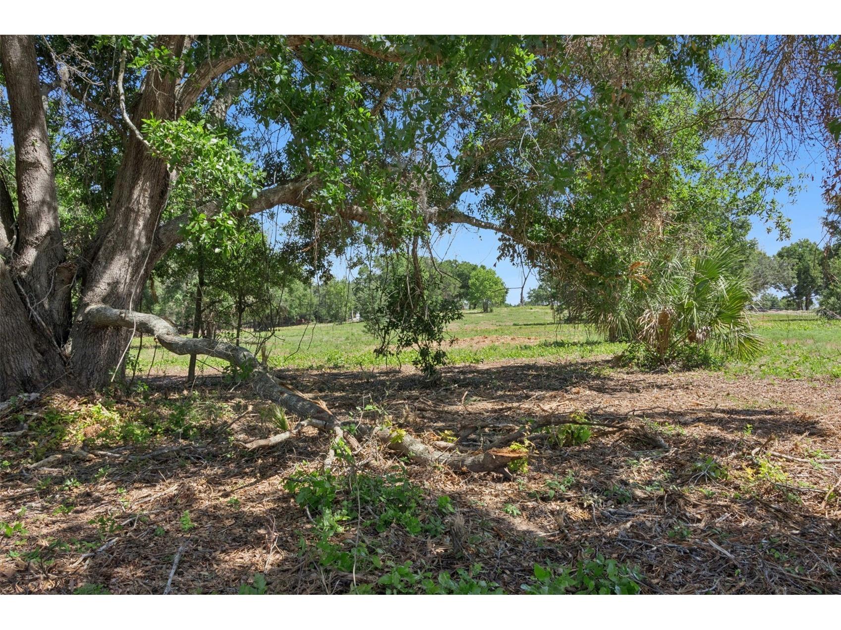 0000 Bertsville & Griffin View Road Lady Lake FL 32159 G5109689 image17