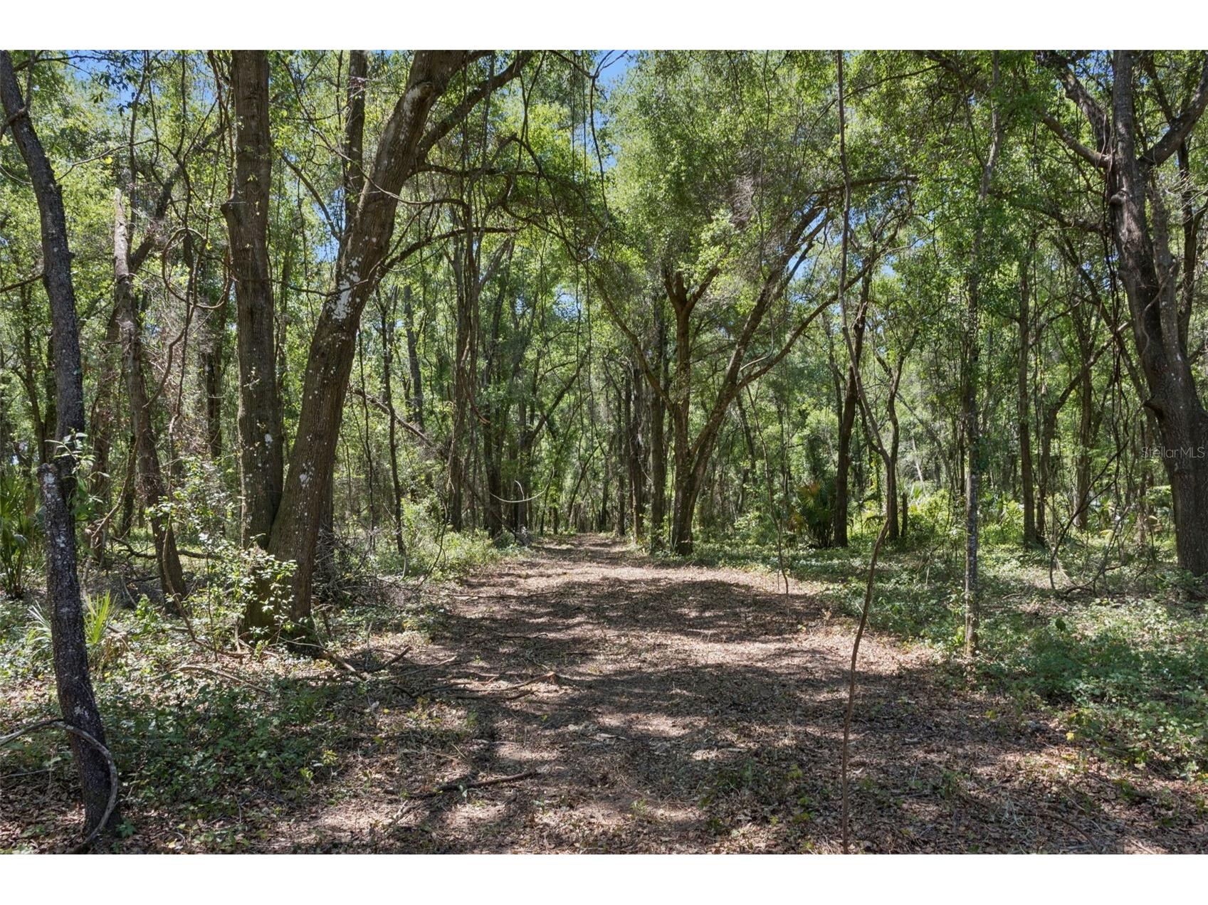 0000 Bertsville & Griffin View Road Lady Lake FL 32159 G5109689 image18