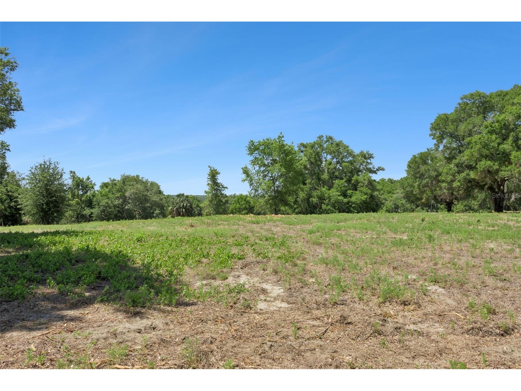 0000 Bertsville & Griffin View Road Lady Lake FL 32159 G5109689 image4