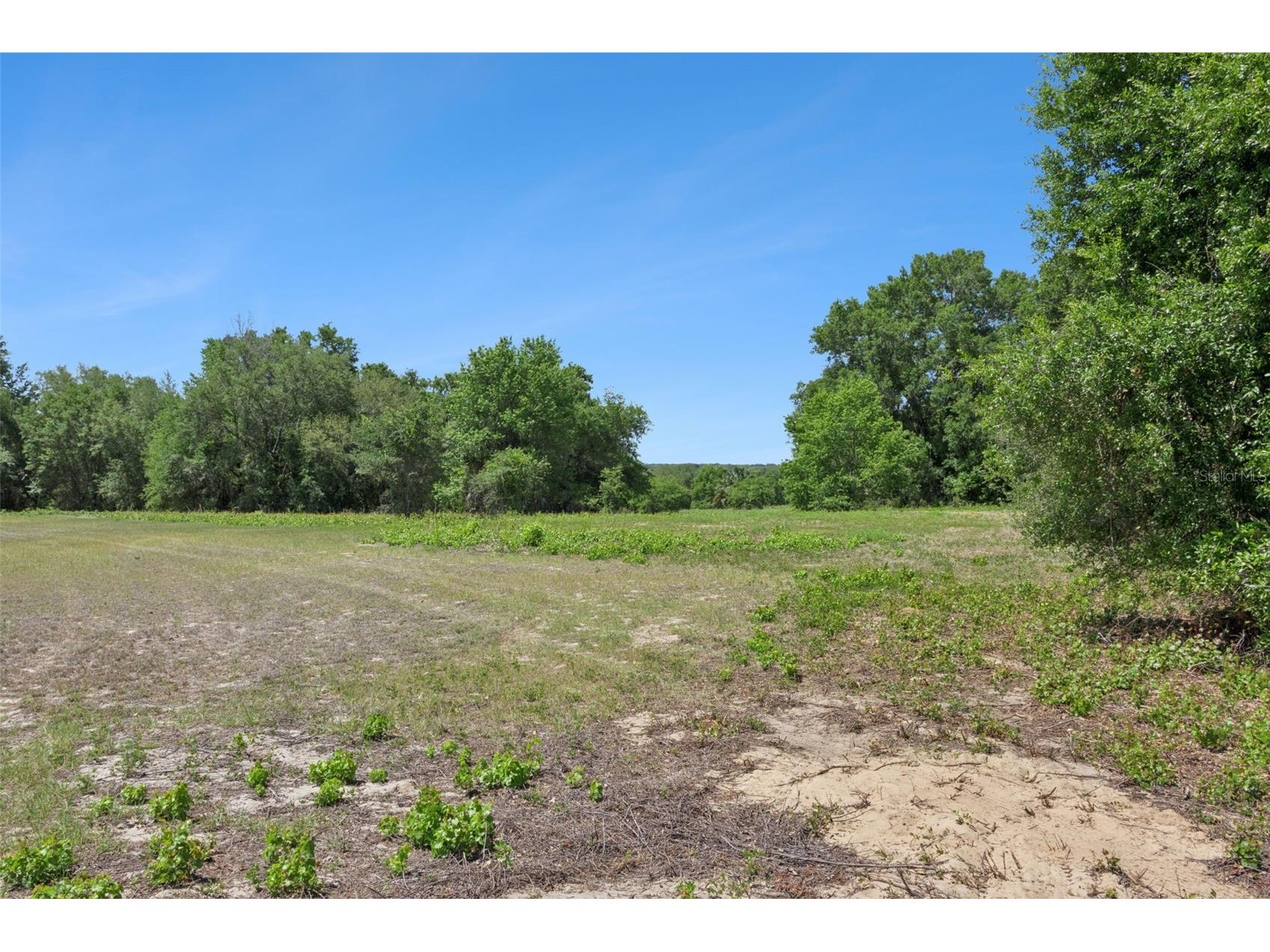 0000 Bertsville & Griffin View Road Lady Lake FL 32159 G5109689 image6