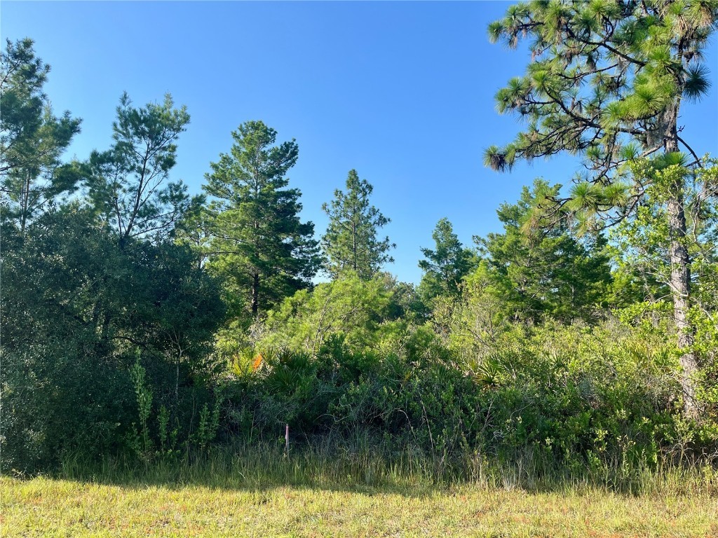 0000 Bougainville Drive Indian Lake Estates FL 33855 O6330667 image3