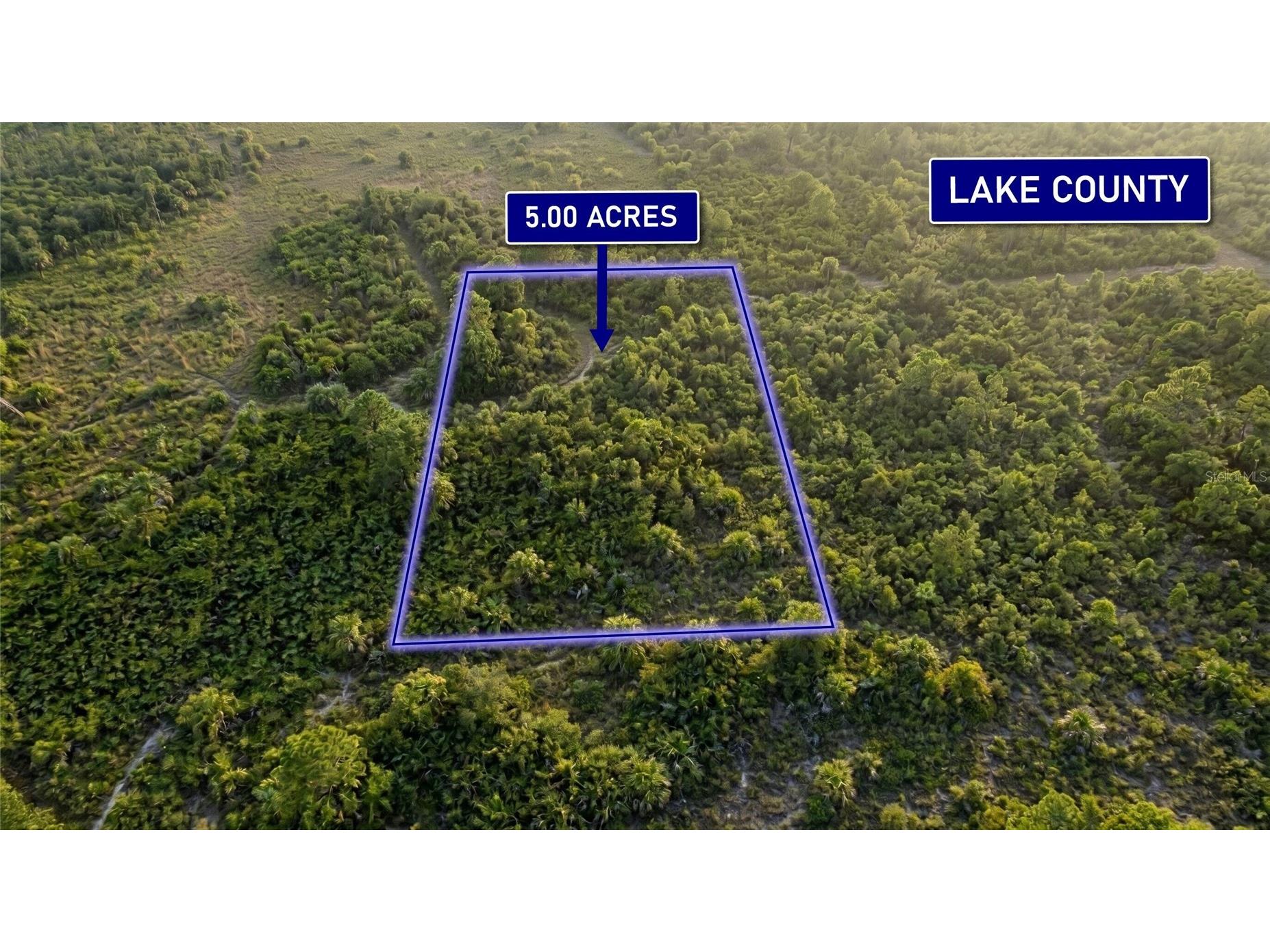 0000 Calvin Lee Road Clermont FL 34711 OM726063 image1