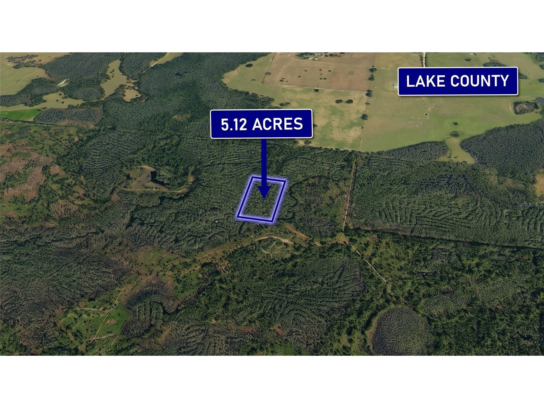 0000 Calvin Lee Road Clermont FL 34711 OM726064 image3
