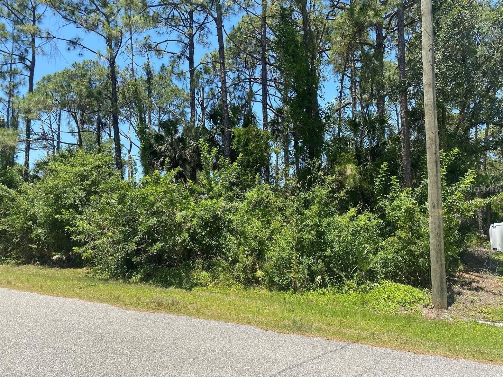 0000 Carver Street North Port FL 34286 P4931448 image1