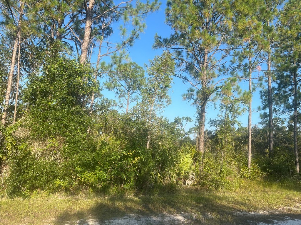 0000 Columbus Drive Indian Lake Estates FL 33855 O6330709 image3