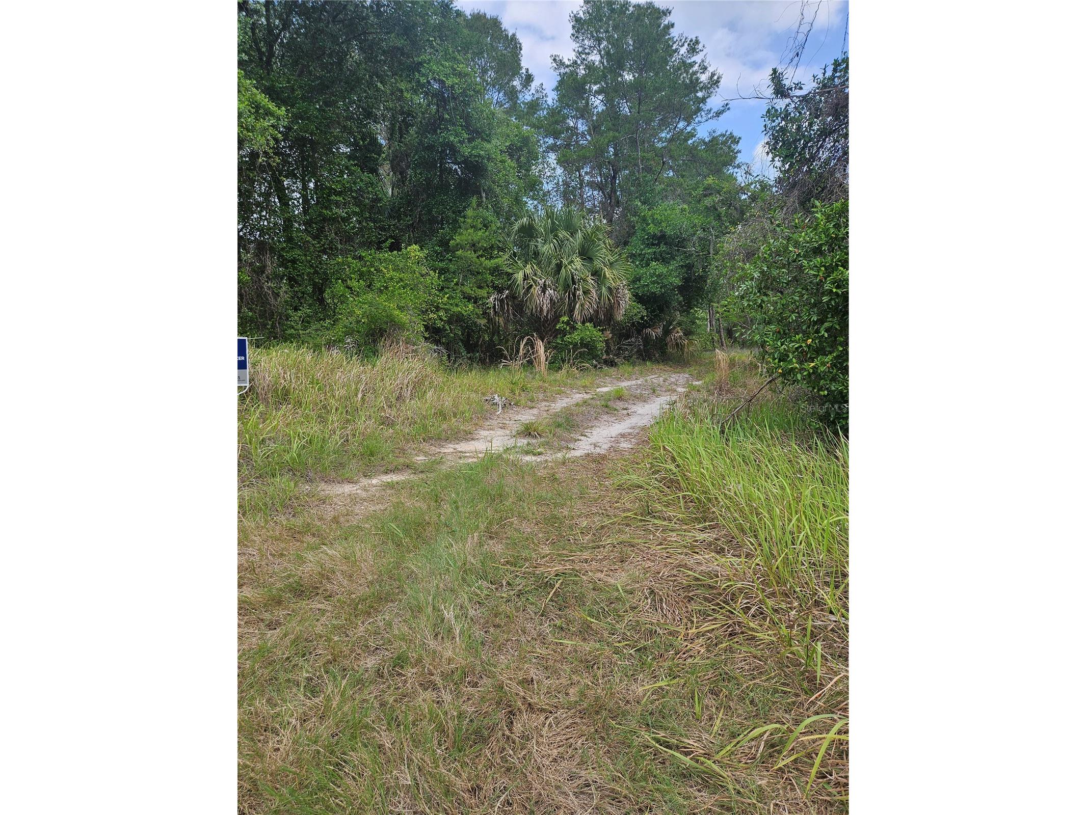 0000 Culver Way Geneva FL 32732 O6404346 image3