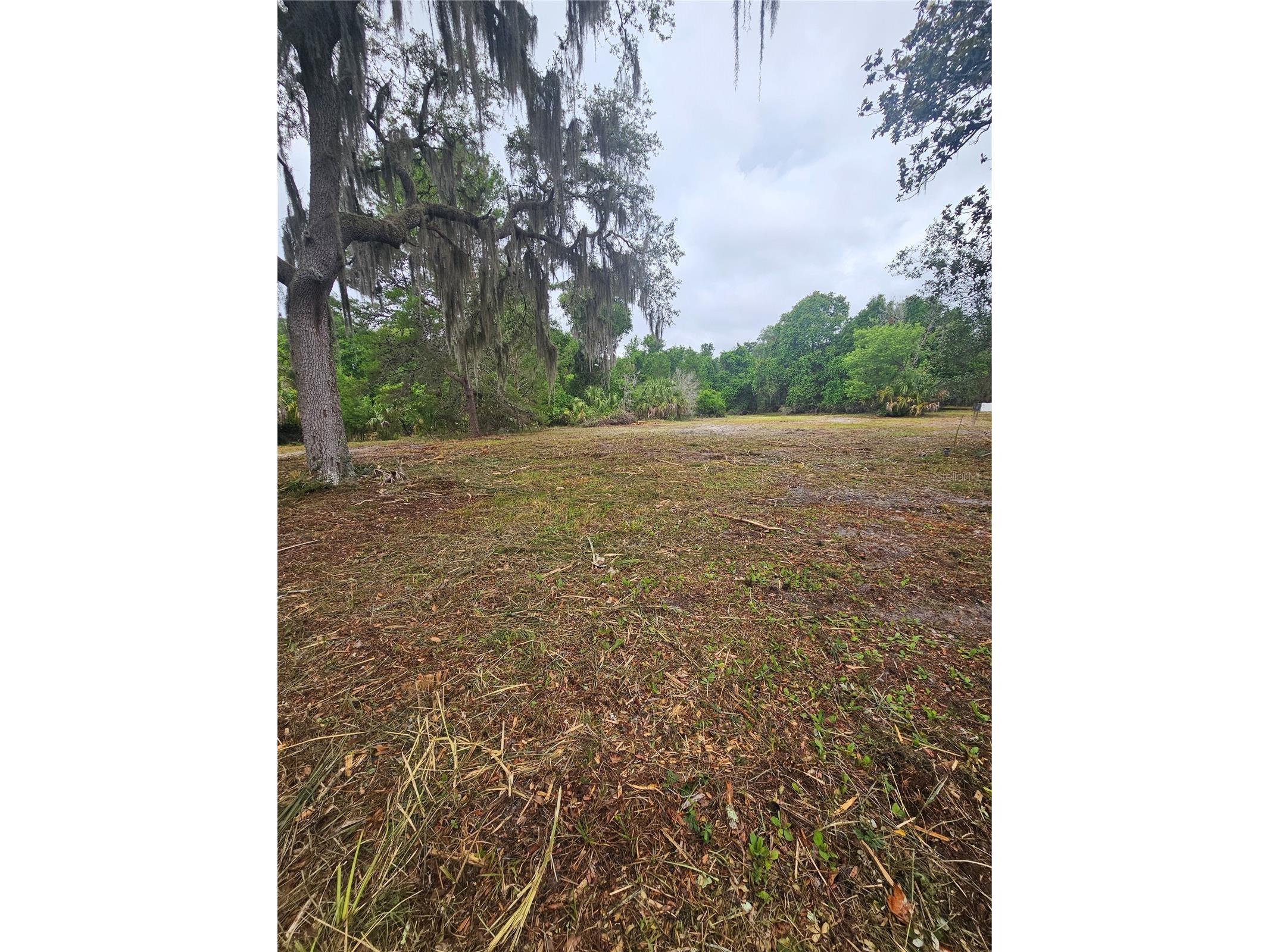 0000 Culver Way Geneva FL 32732 O6404346 image9
