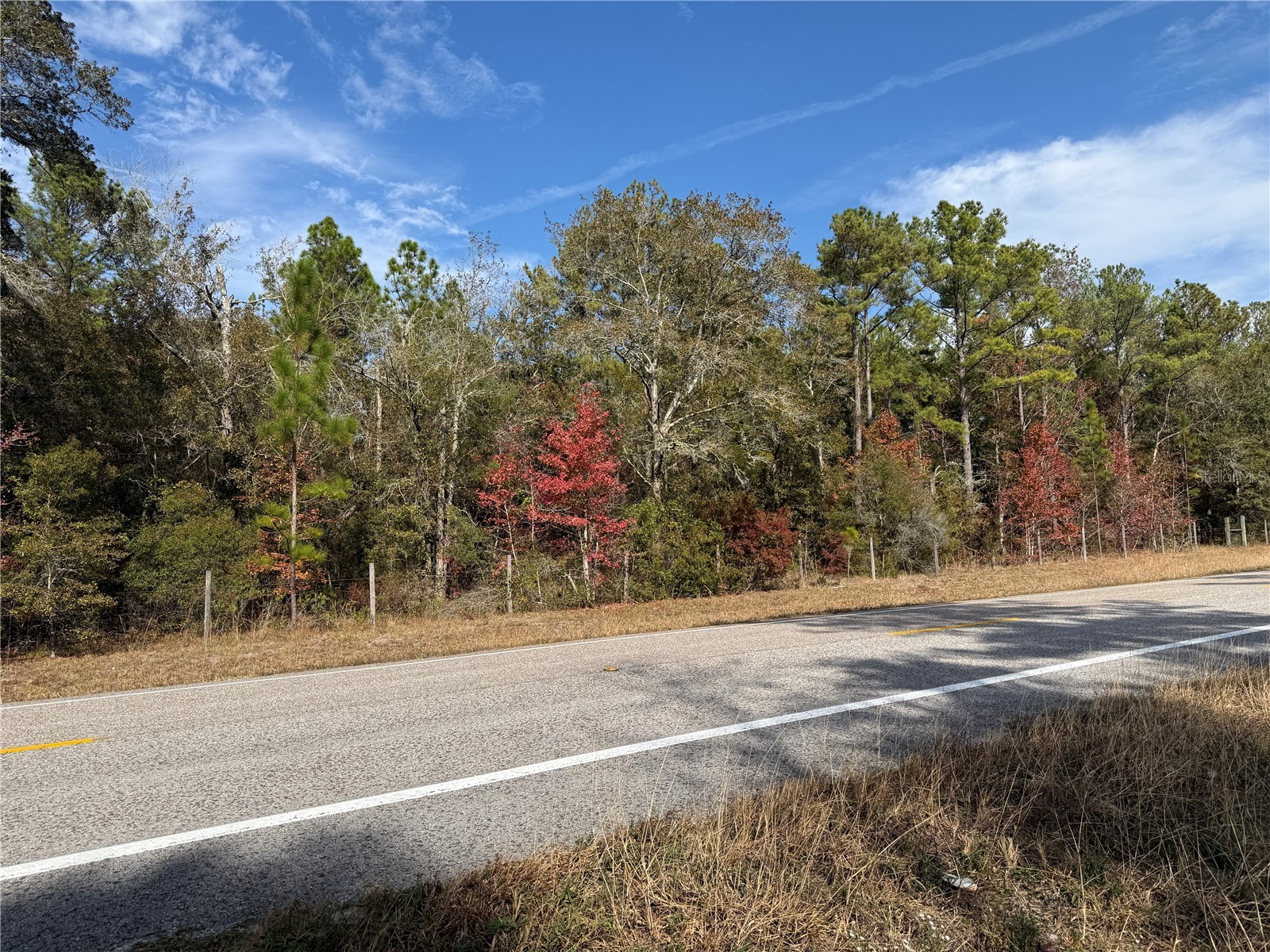 0000 E Cr225 Road Gainesville FL 32609 GC536495 image1