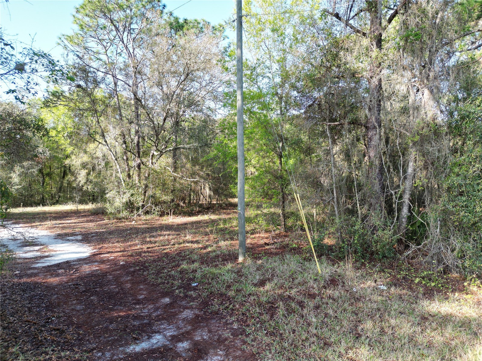0000 E Hwy 25 Belleview FL 34420 G5109467 image2