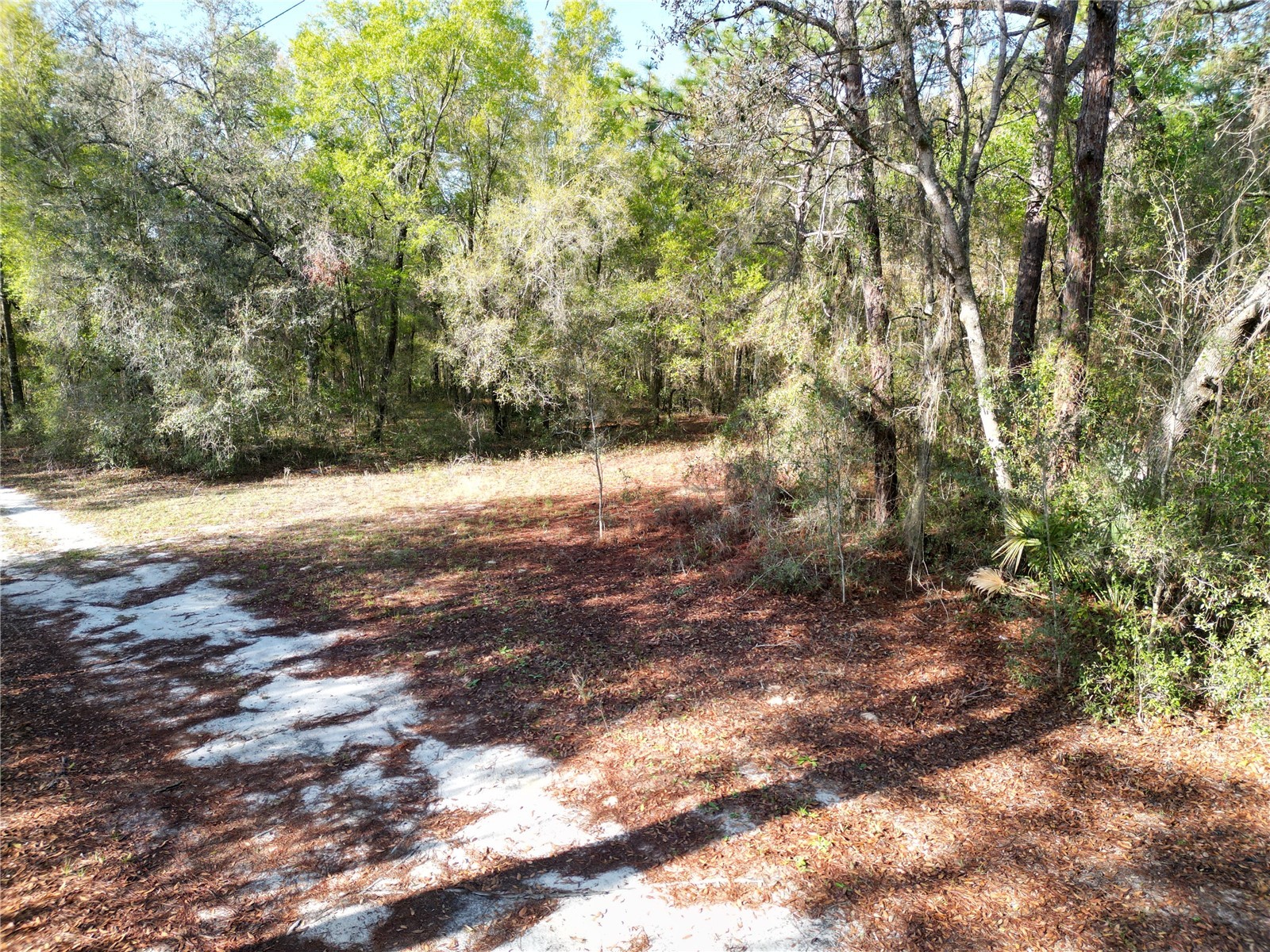 0000 E Hwy 25 Belleview FL 34420 G5109467 image3