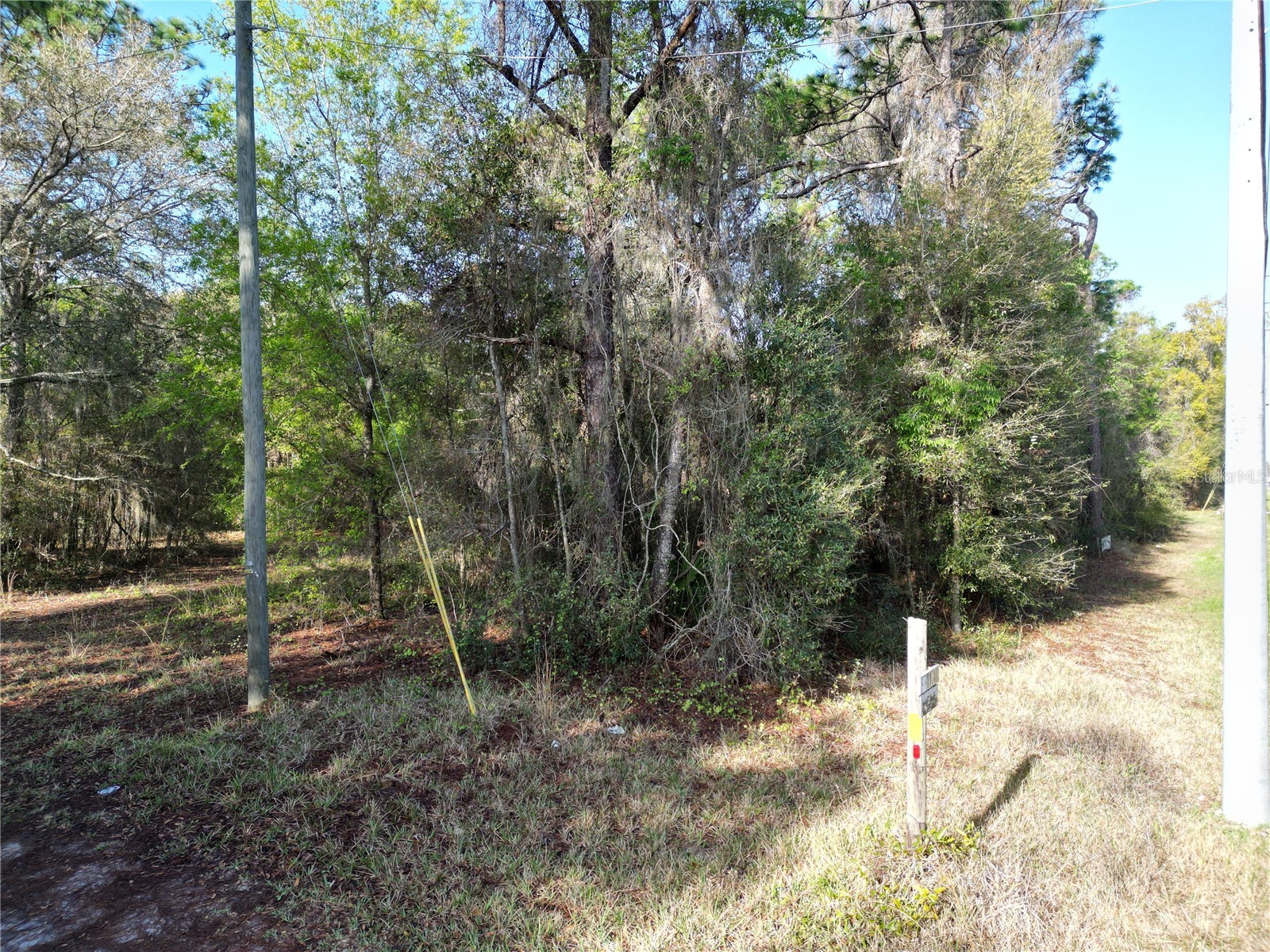 0000 E Hwy 25 Belleview FL 34420 G5109467 image7