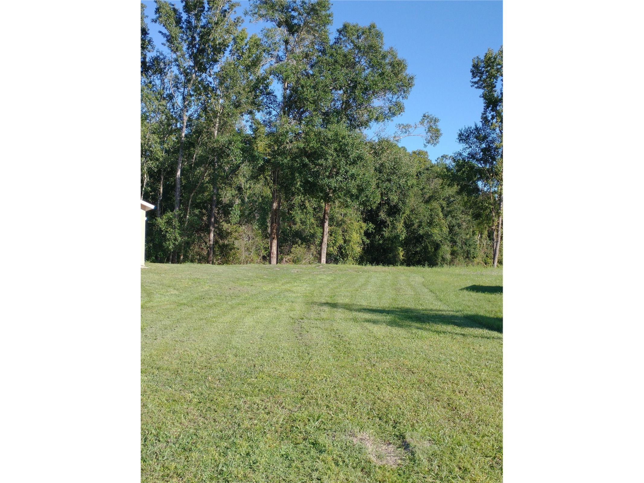0000 Eagle Boulevard Land O Lakes FL 34639 R4911330 image14