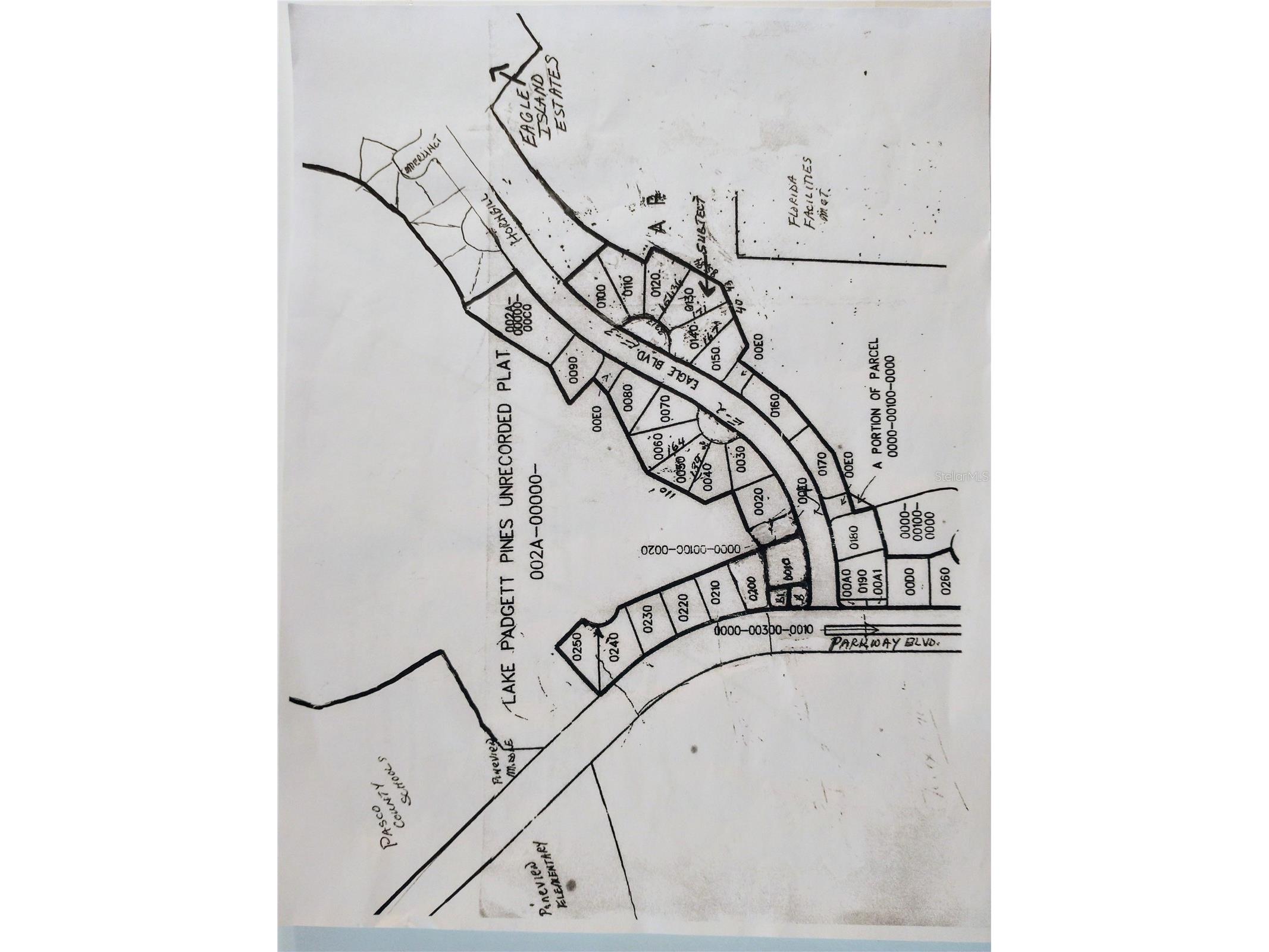 0000 Eagle Boulevard Land O Lakes FL 34639 R4911330 image18
