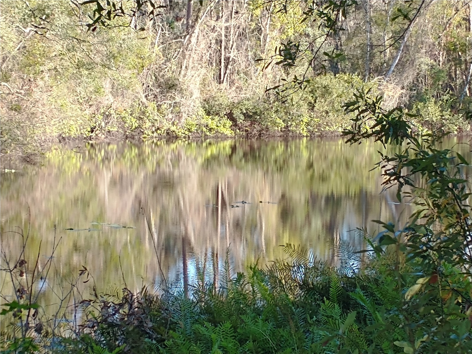 0000 Eagle Boulevard Land O Lakes FL 34639 R4911330 image19