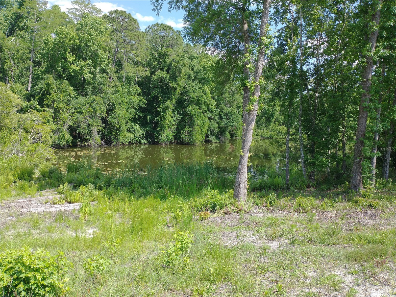 0000 Eagle Boulevard Land O Lakes FL 34639 R4911330 image2
