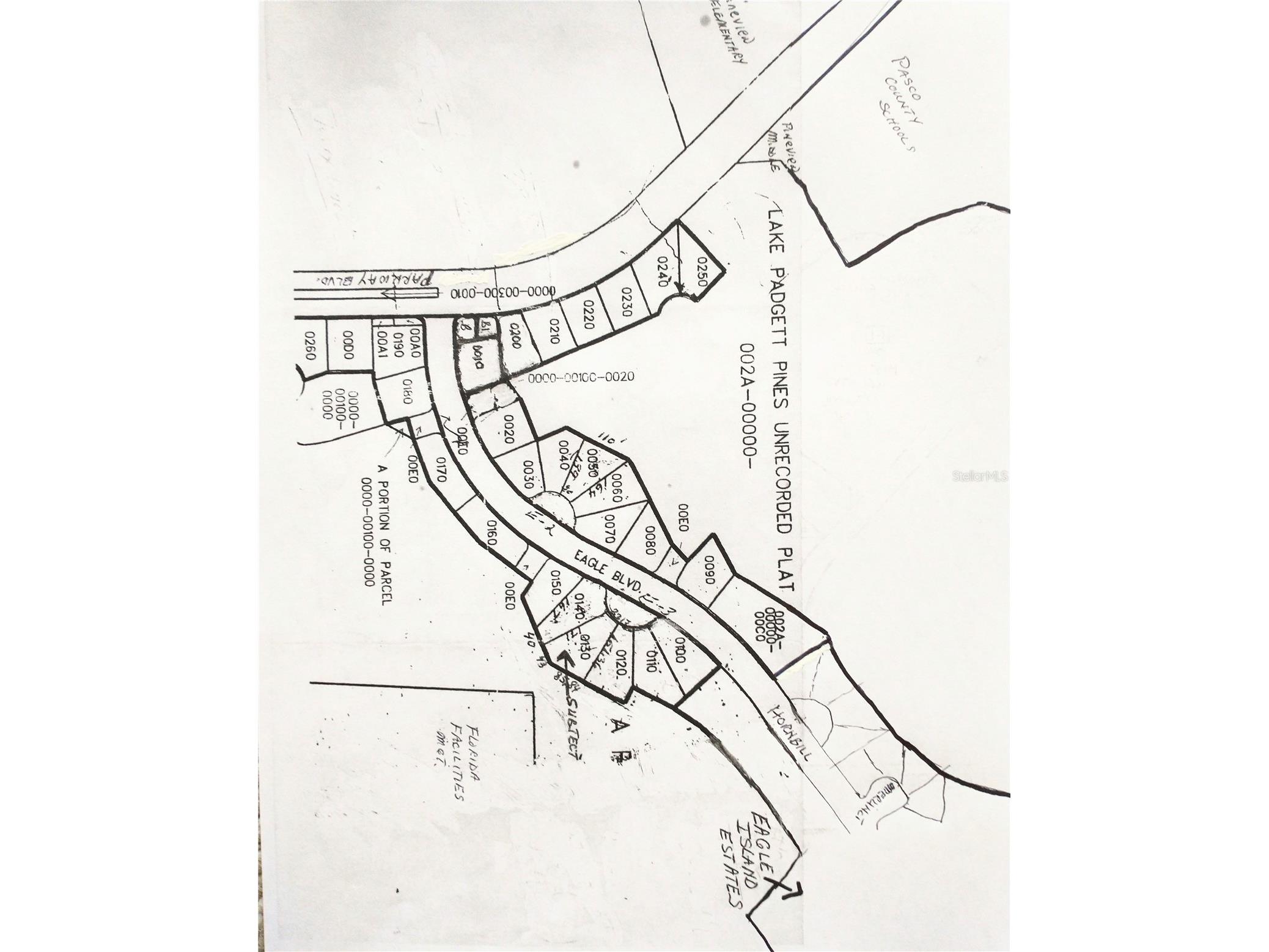 0000 Eagle Boulevard Land O Lakes FL 34639 R4911330 image22